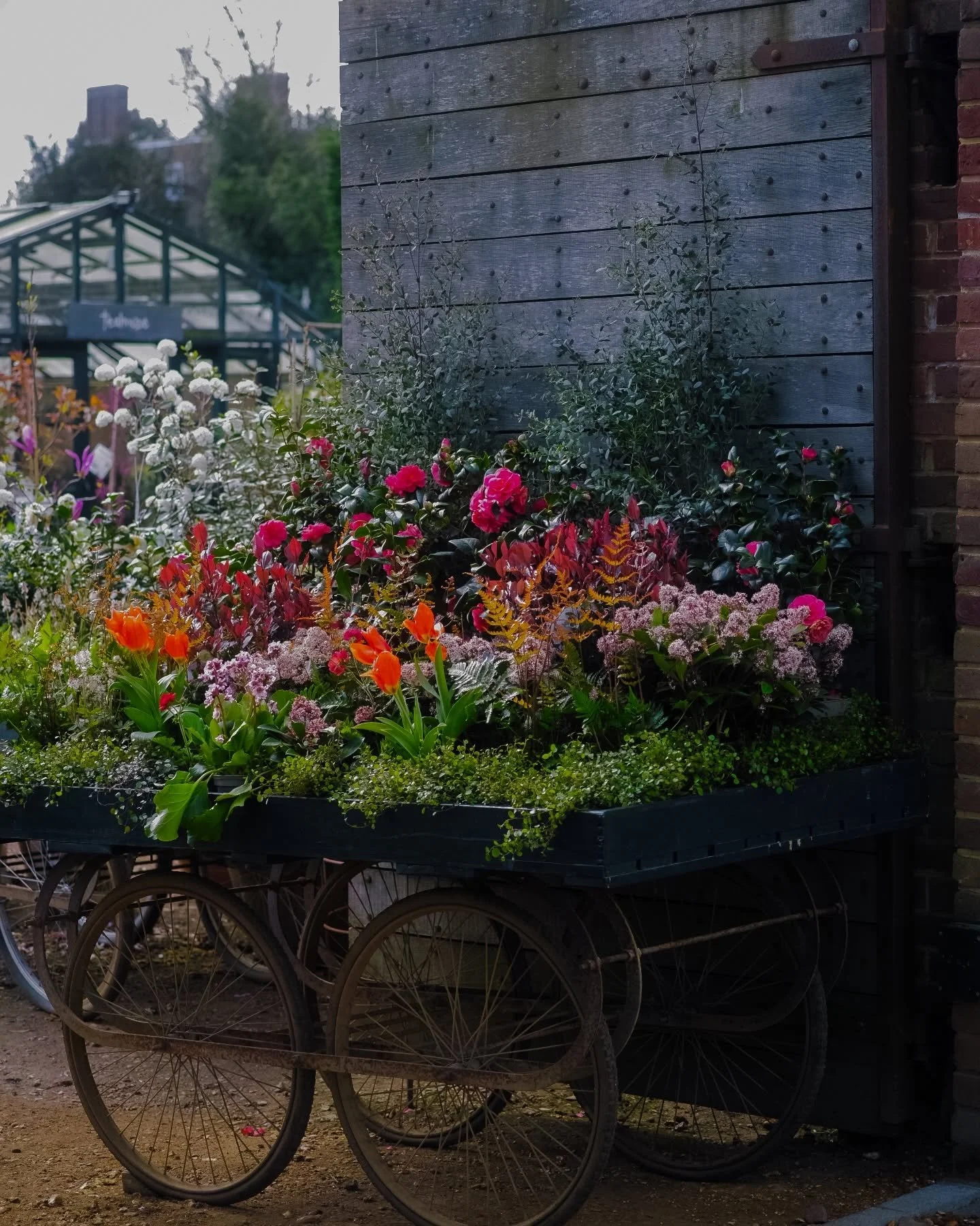 A spring day with @petershamnurseries ❤️🌹🪴🪻
__
Photos: @simoudis
#jerryrose #jerryrosehomeandgarden #springplanting