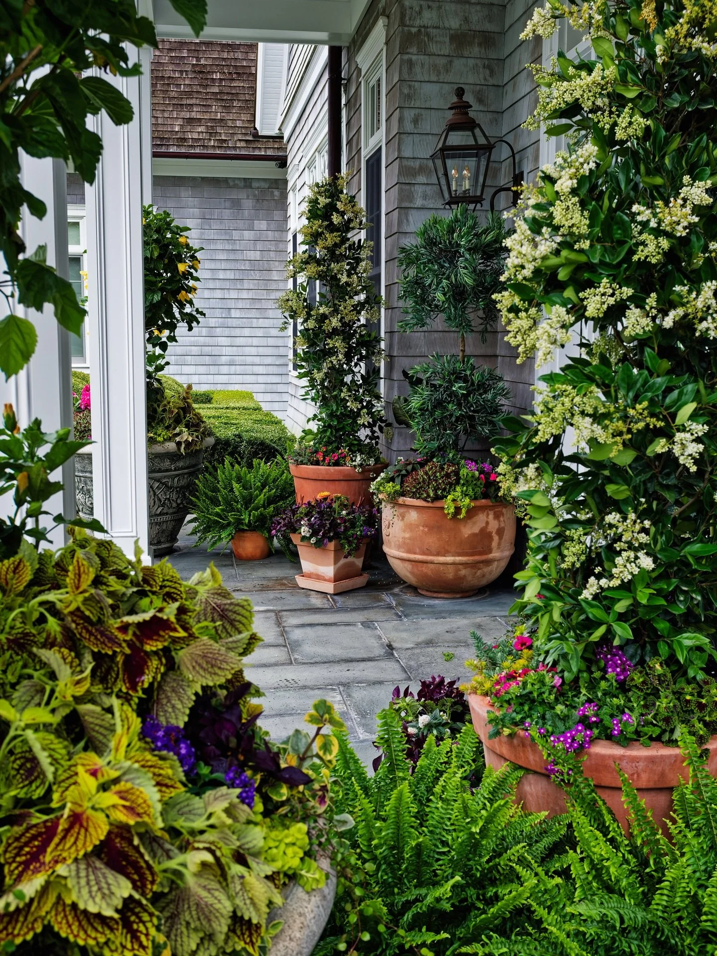 The best entrances don&rsquo;t announce themselves&mdash;they draw you in

East Hampton, early season&mdash;when everything still feels a little crisp and awake.

We layered these containers the way we think about any space: structure first, then mov