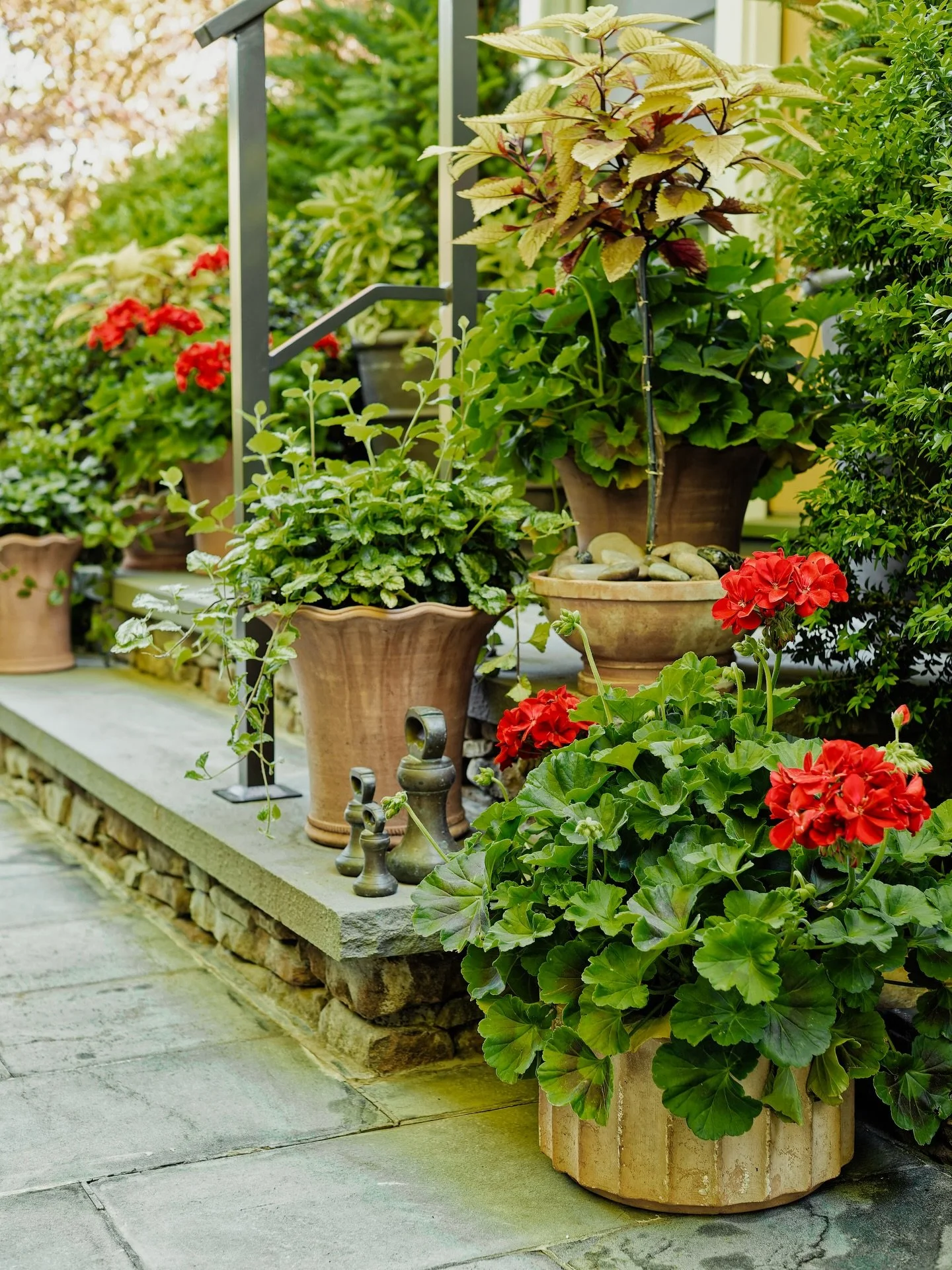 Our container plantings are created for the season and designed to evolve. 
__
Photos: @simoudis
#jerryrose #jerryrosehomeandgarden #terracotta #containerplanting