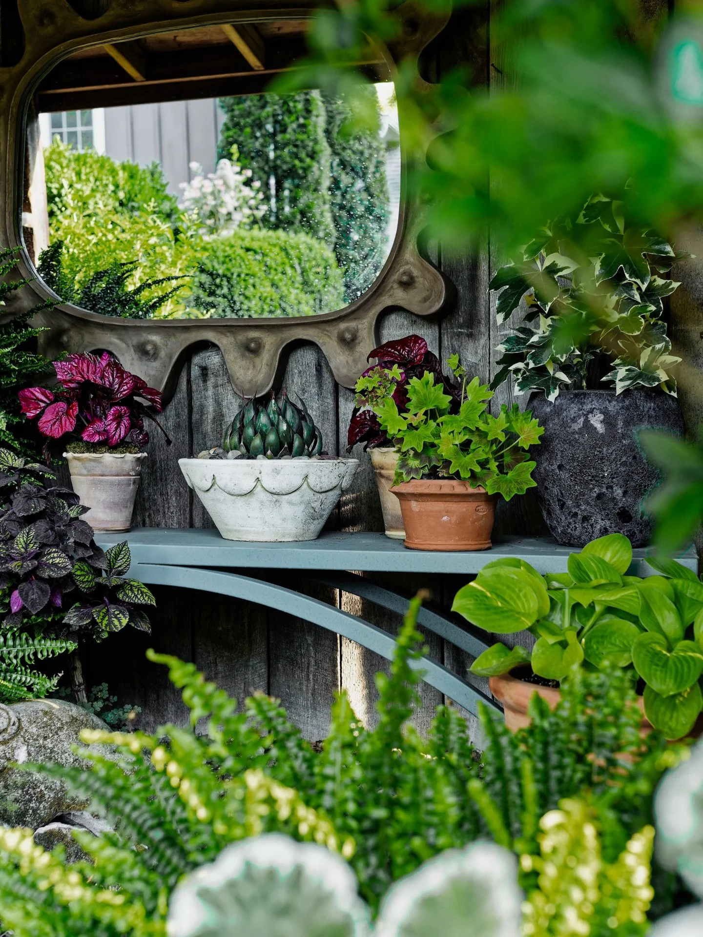 In our Garden State. 
__
Photos: @simoudis
#jerryrose #jerryrosehomeandgarden #inmygardentoday