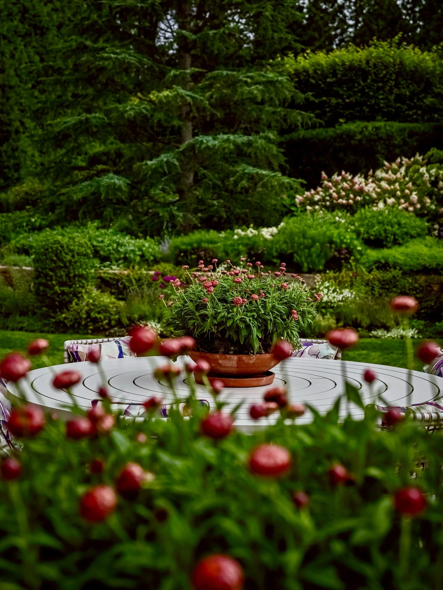 Summer in the garden. 
__
Photos: @simoudis
#jerryrose #jerryrosehomeandgarden #containerplanting #teamjerryrose