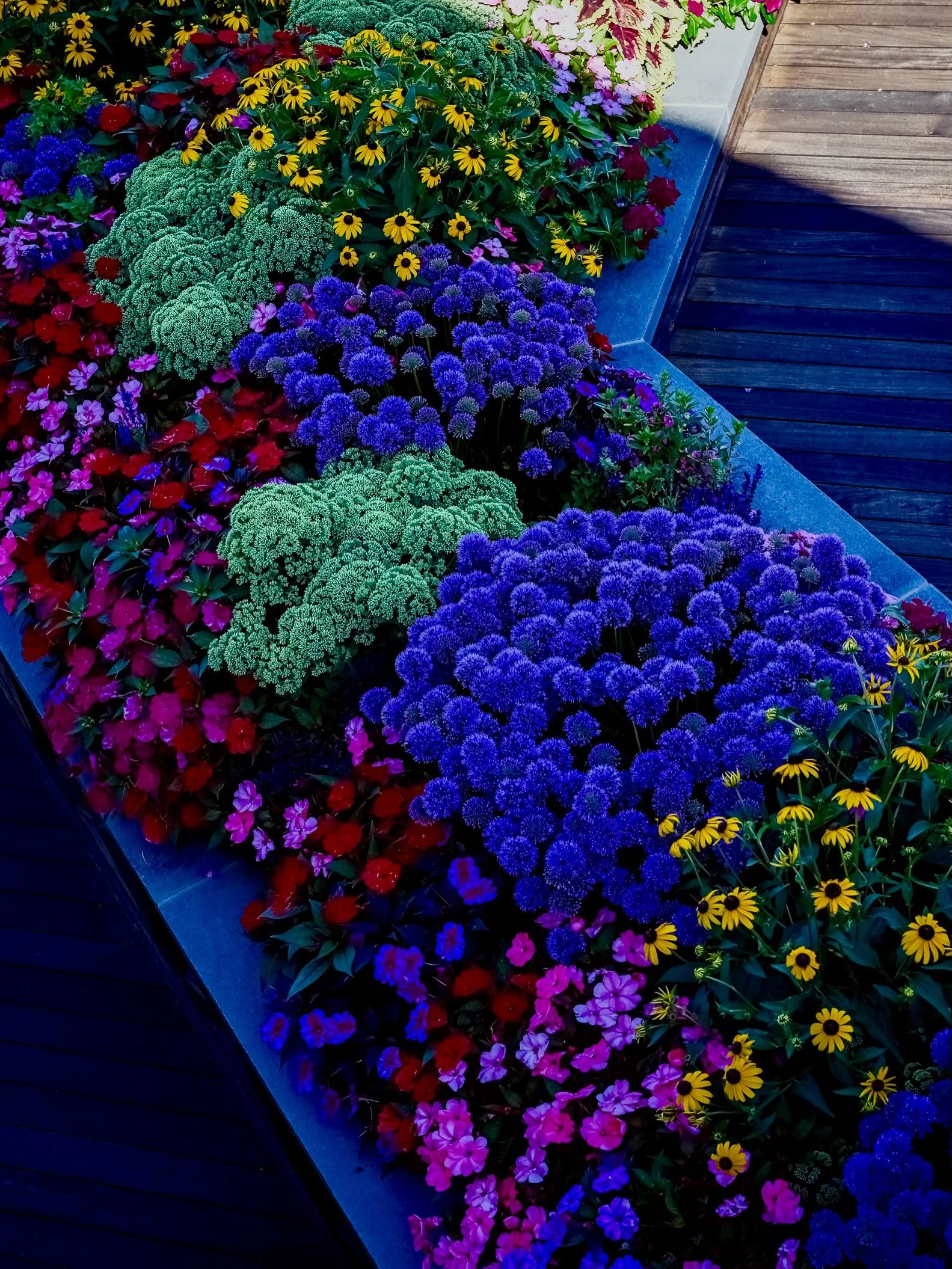 The colors of a summer sunset. 
__
Photos: @simoudis
#jerryrose #jerryrosehomeandgarden #summergardens #jerseyshore #teamjerryrose