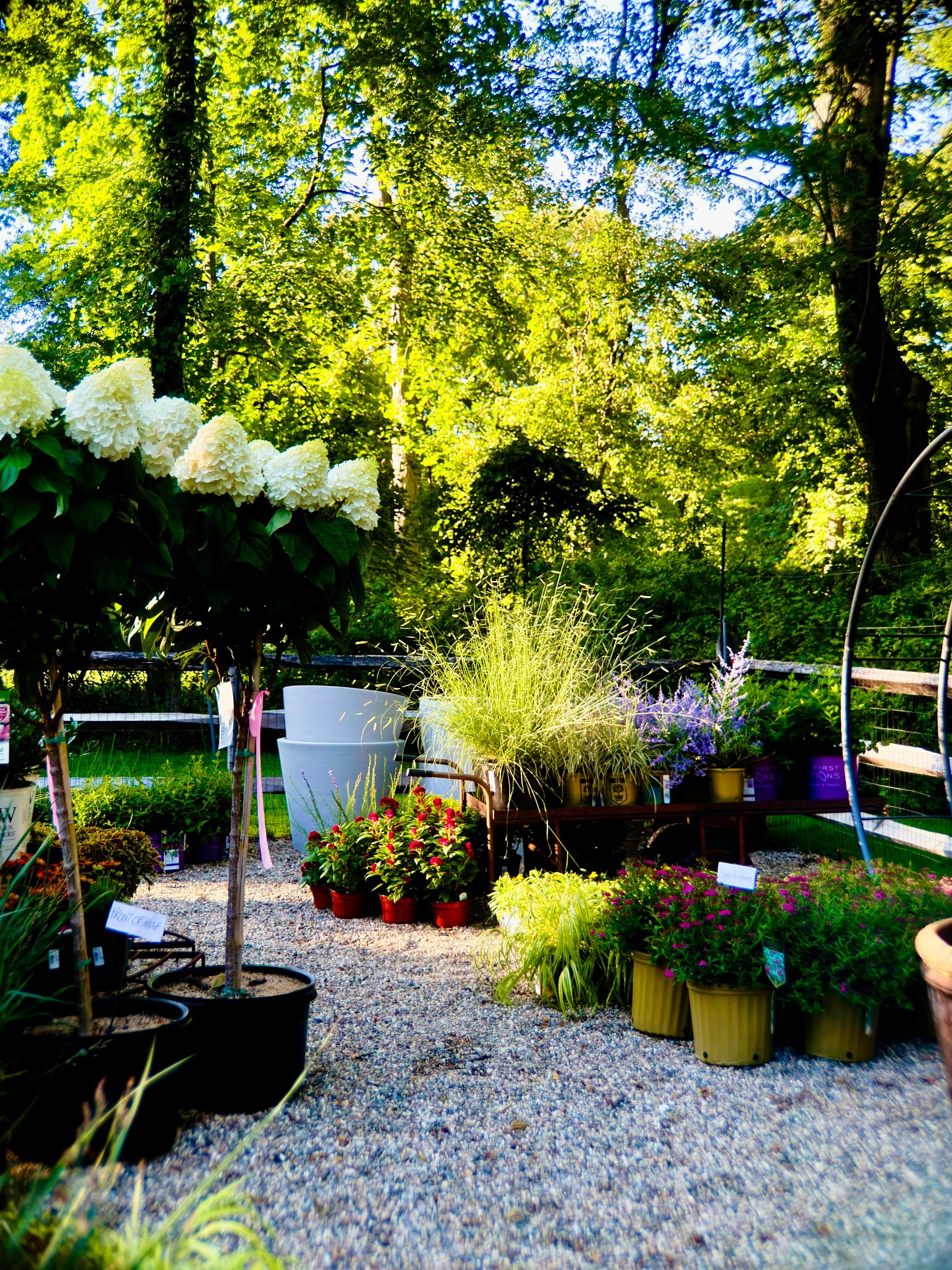 Crayons ready! Fall planting begins with composition for the garden&rsquo;s next chapter.

Summer cleanup and autumn installations begin. 
__
Photos: @simoudis
#jerryrose #jerryrosehomeandgarden #gardens #fallplanting
