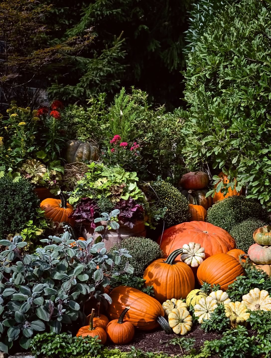 The Season of the Harvest. Our designs for autumn. 
__
Photos: @simoudis 
#jerryrose #jerryrosehomeandgarden #fall #fallgardens #teamjerryrose