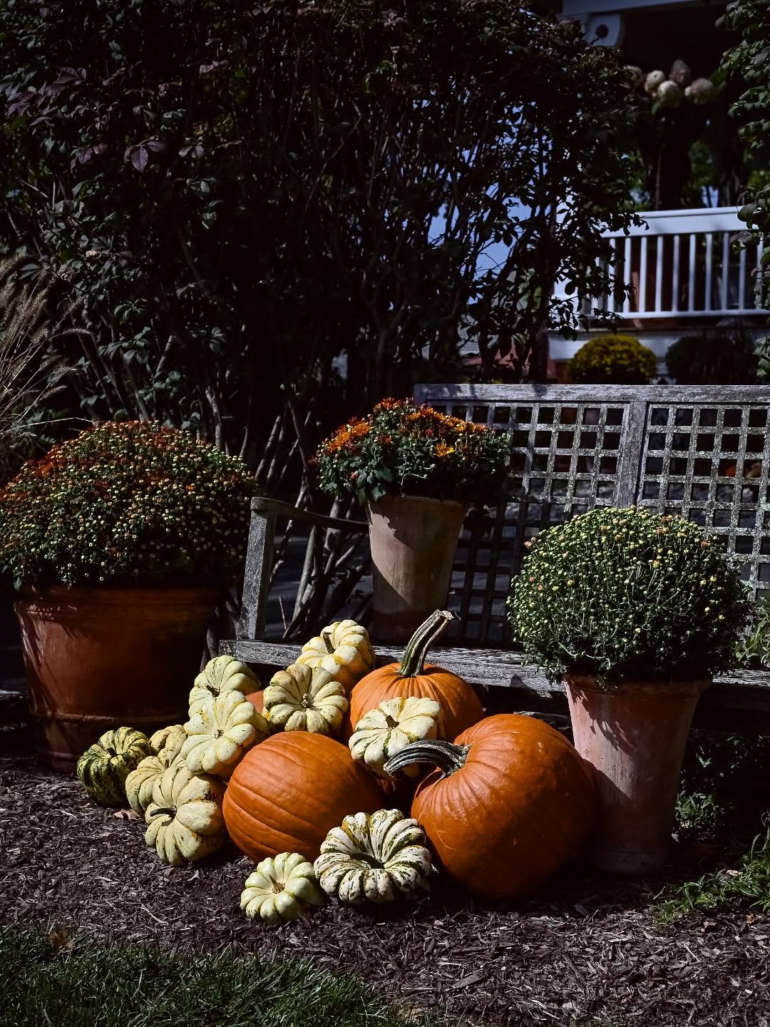 From the harvest, into the garden. Autumn at our Studio in Summit. 
__
Photos: @simoudis
#jerryrose #jerryrosehomeandgarden #teamjerryrose #summitnj