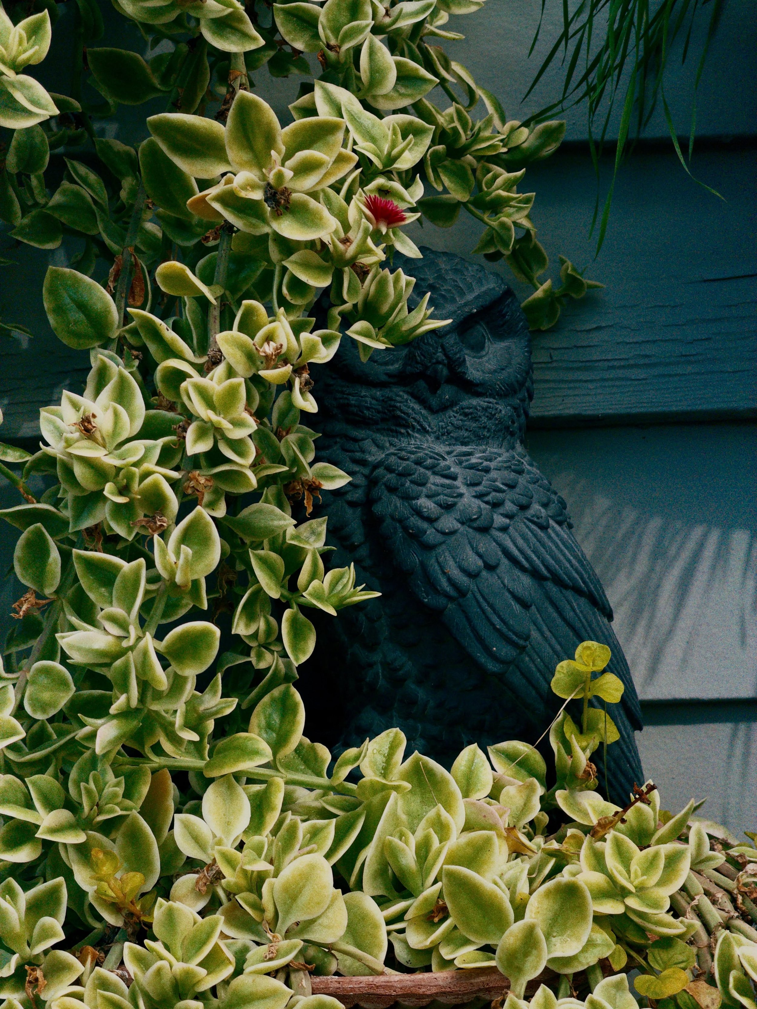 Someone&rsquo;s keeping an eye on the garden. 
__
Photo: @simoudis
#jerryrose #jerryrosehomeandgarden #summitnj
