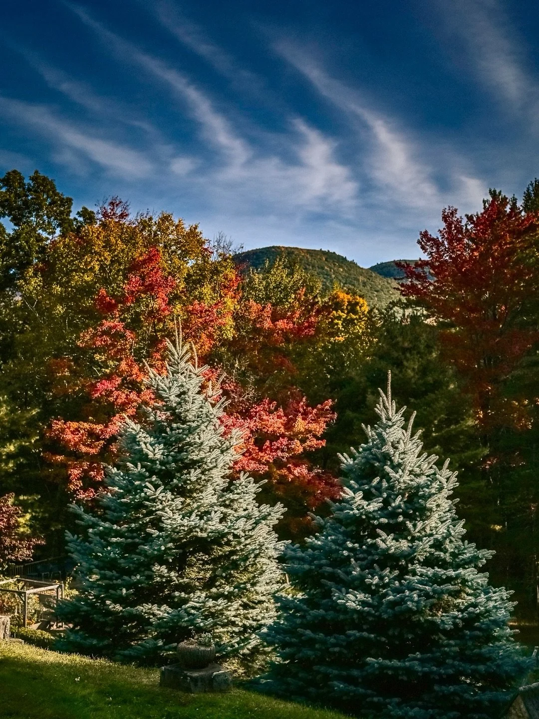 A beautiful fall weekend in the Catskills. We always love coming back to this property, especially this time of year. Our seasonal planting brings together favorite plants, pumpkins, and plenty of autumn color all around.
__
Photos: @simoudis
#jerryr