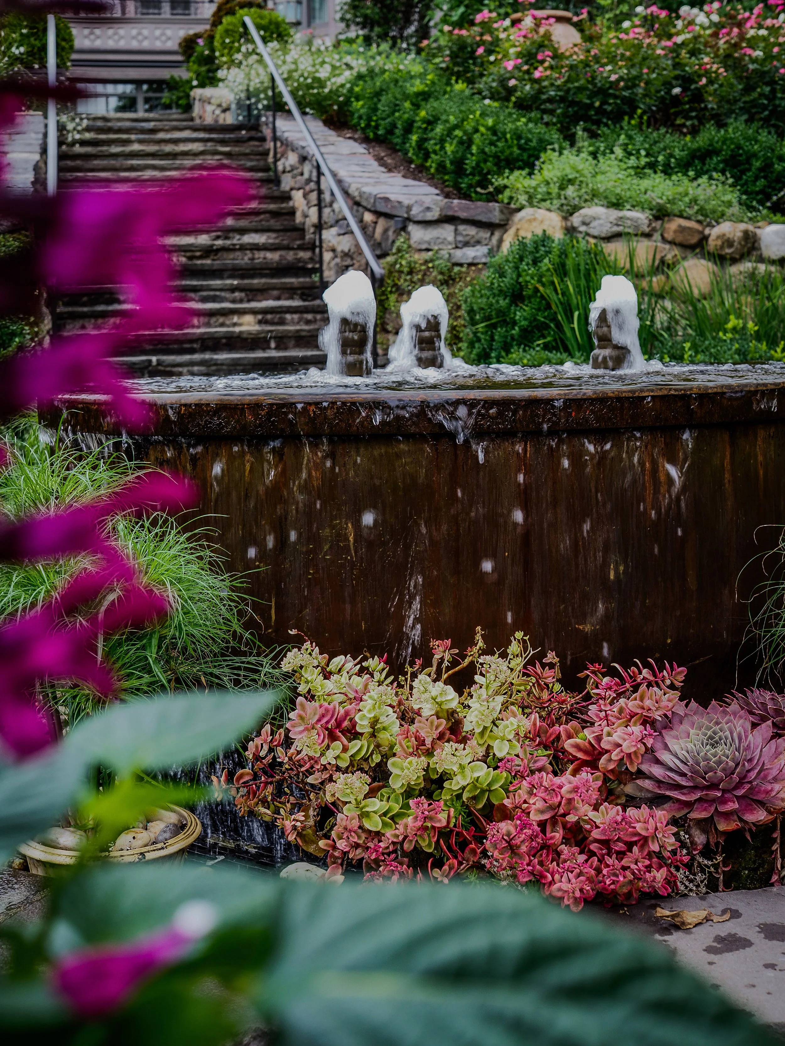 A garden with a water fountain, surrounding plants including succulents and flowering bushes, and stone steps with a metal handrail in the background.