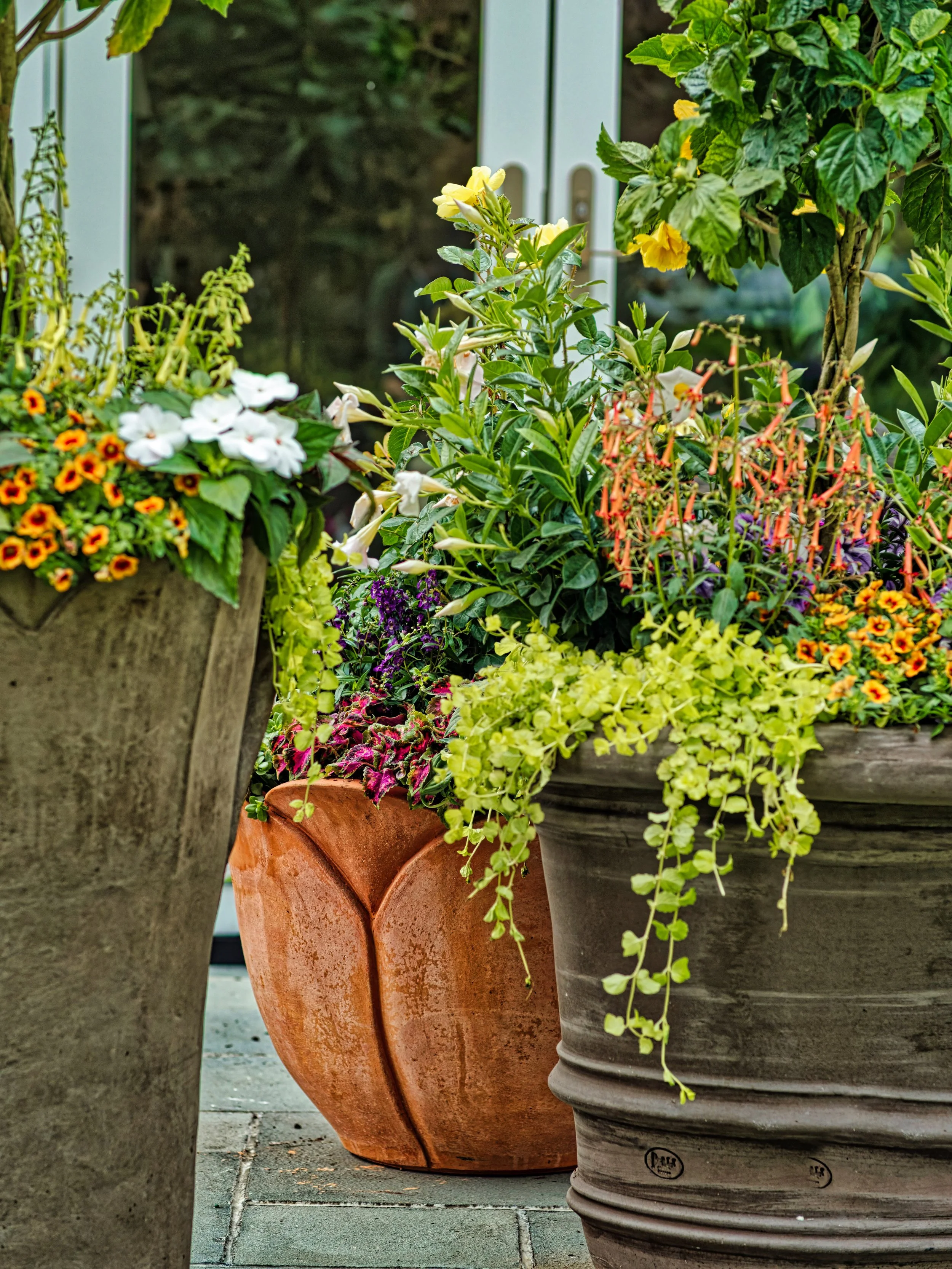 Various colorful potted flowers and plants arranged on a patio or terrace.