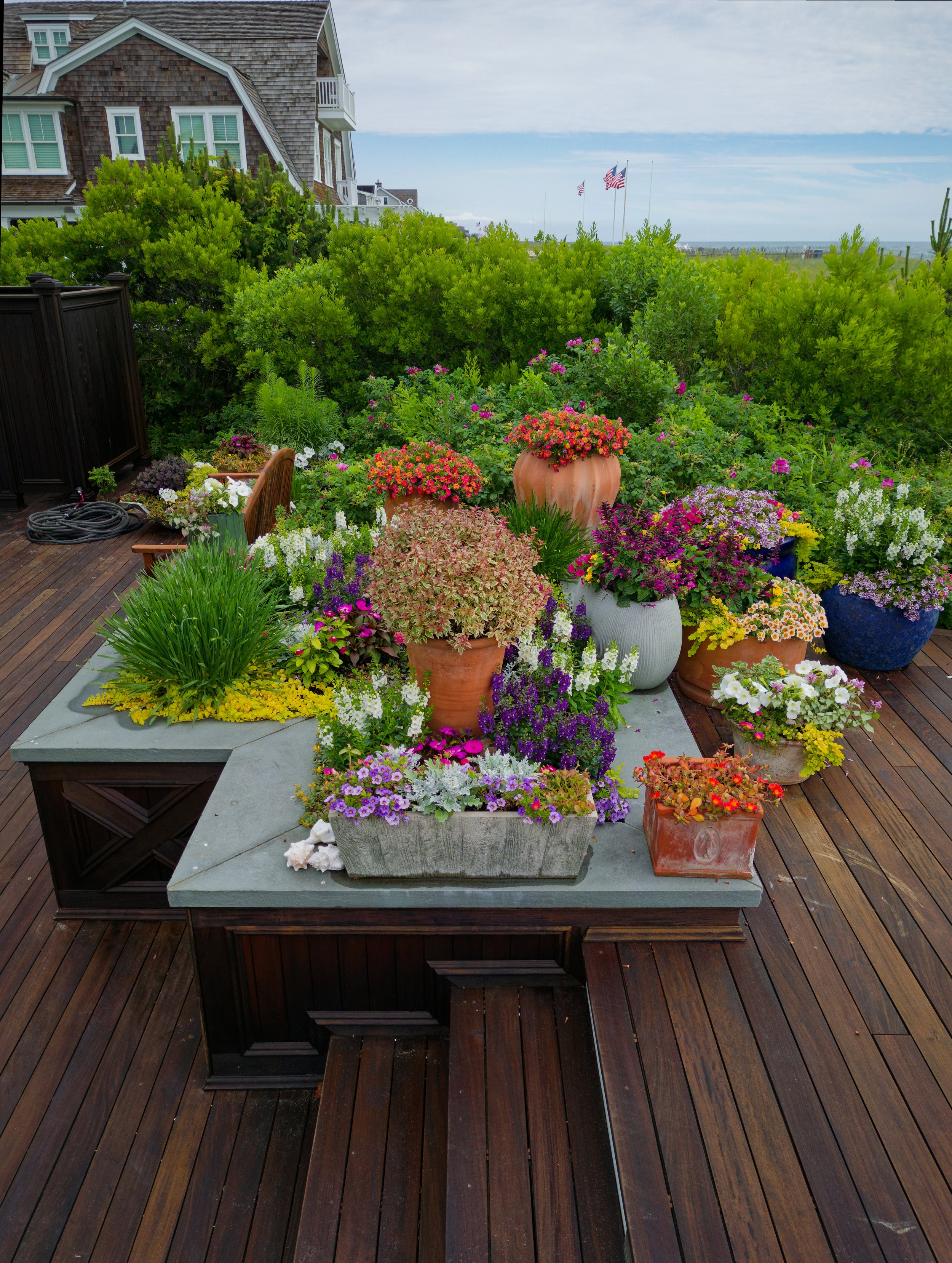 A rooftop garden with a table filled with colorful potted flowers, surrounded by greenery and a house with American flags in the background.