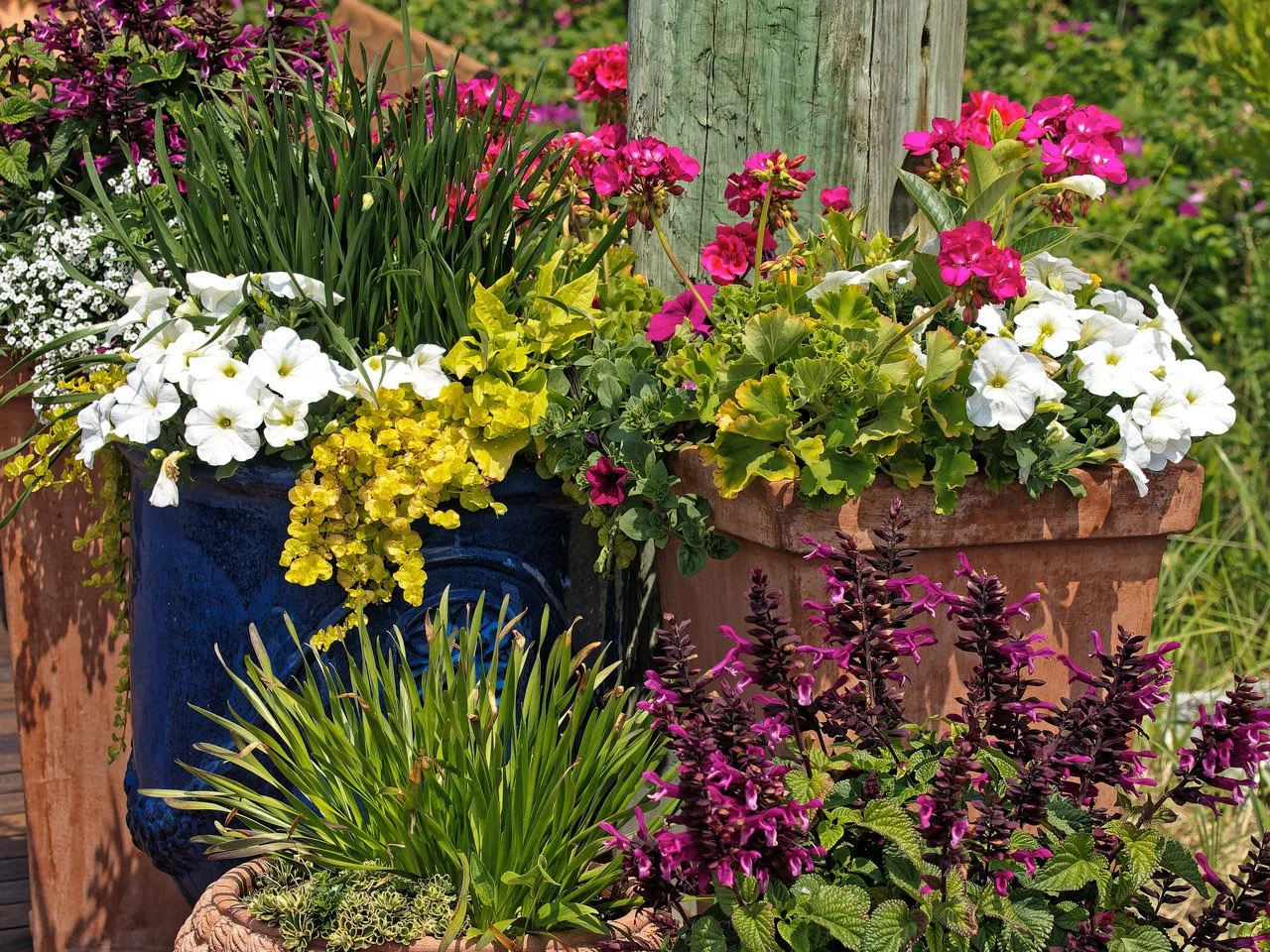 Colorful potted flowers including white petunias, yellow foliage, pink, white, and purple flowers in garden pots on a patio.