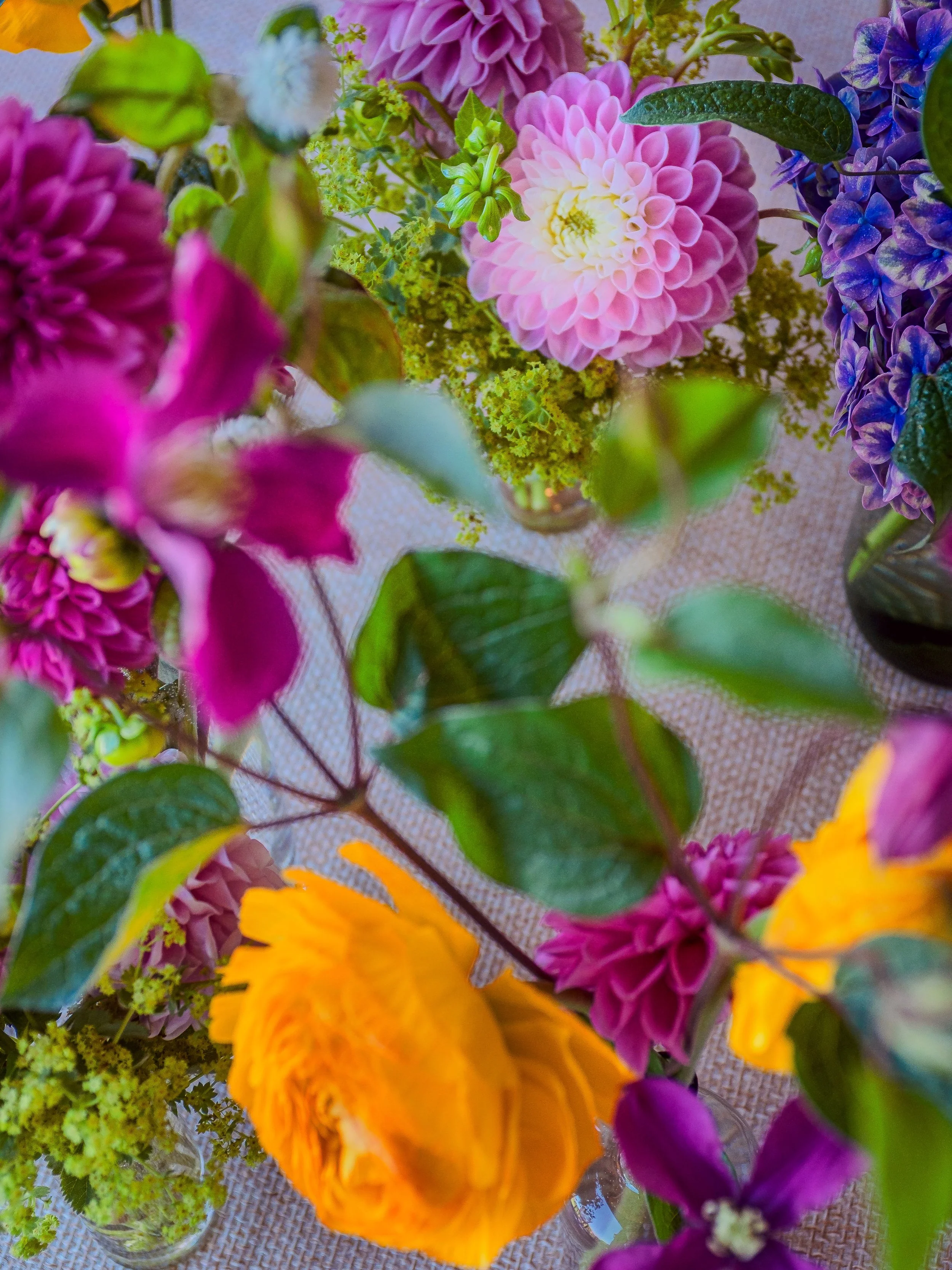 A colorful assortment of flowers including pink, purple, yellow, and white blooms, with green leaves, arranged in glass vases on a textured surface.