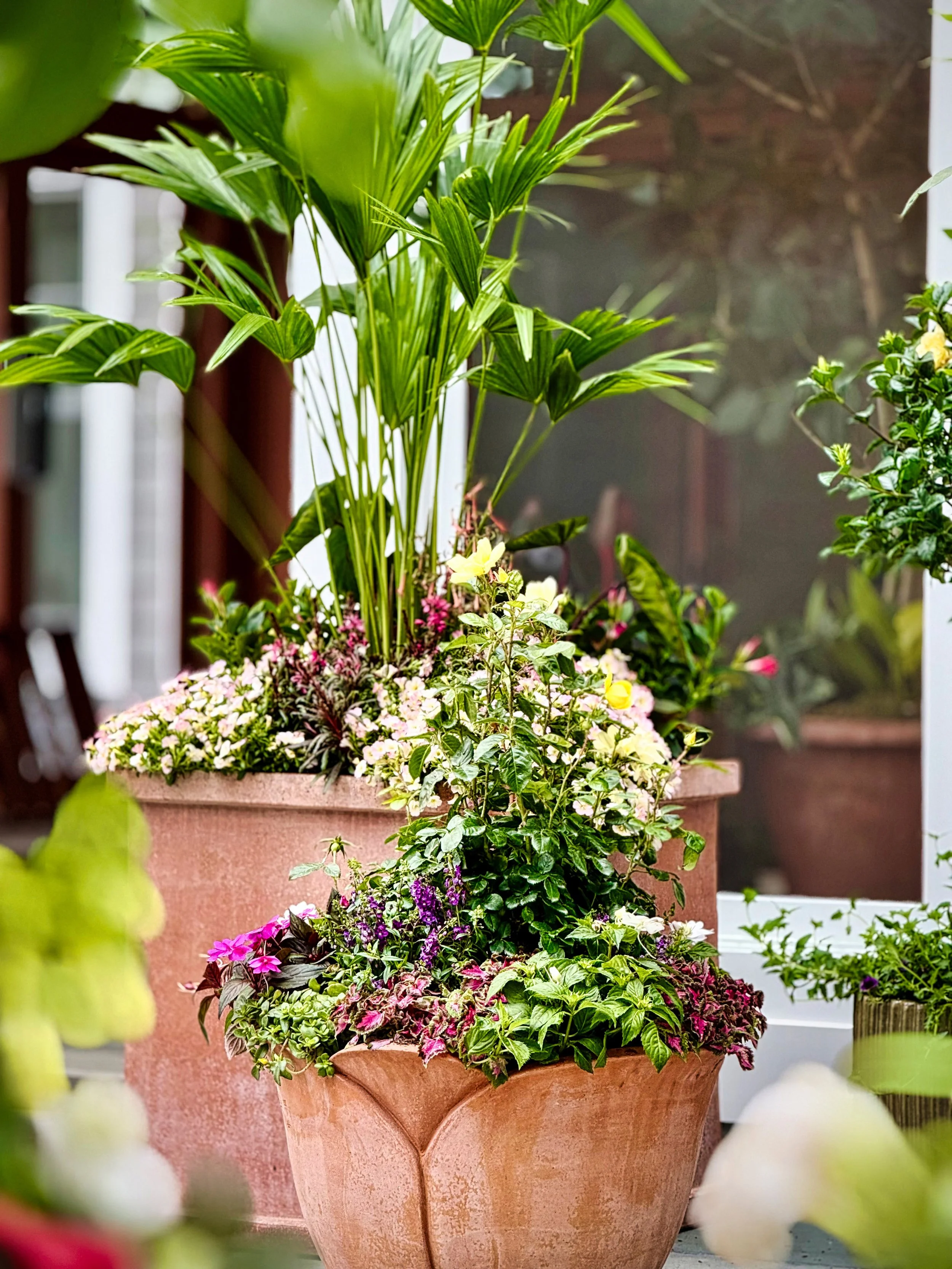 A large pink flowerpot filled with various green plants and small colorful flowers, set outdoors.