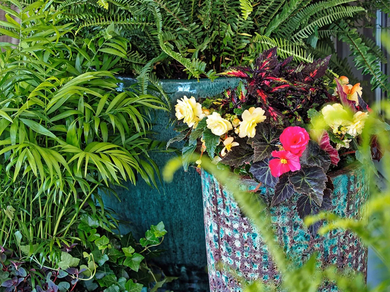 Colorful flowering plants in decorated pots, with green foliage around.
