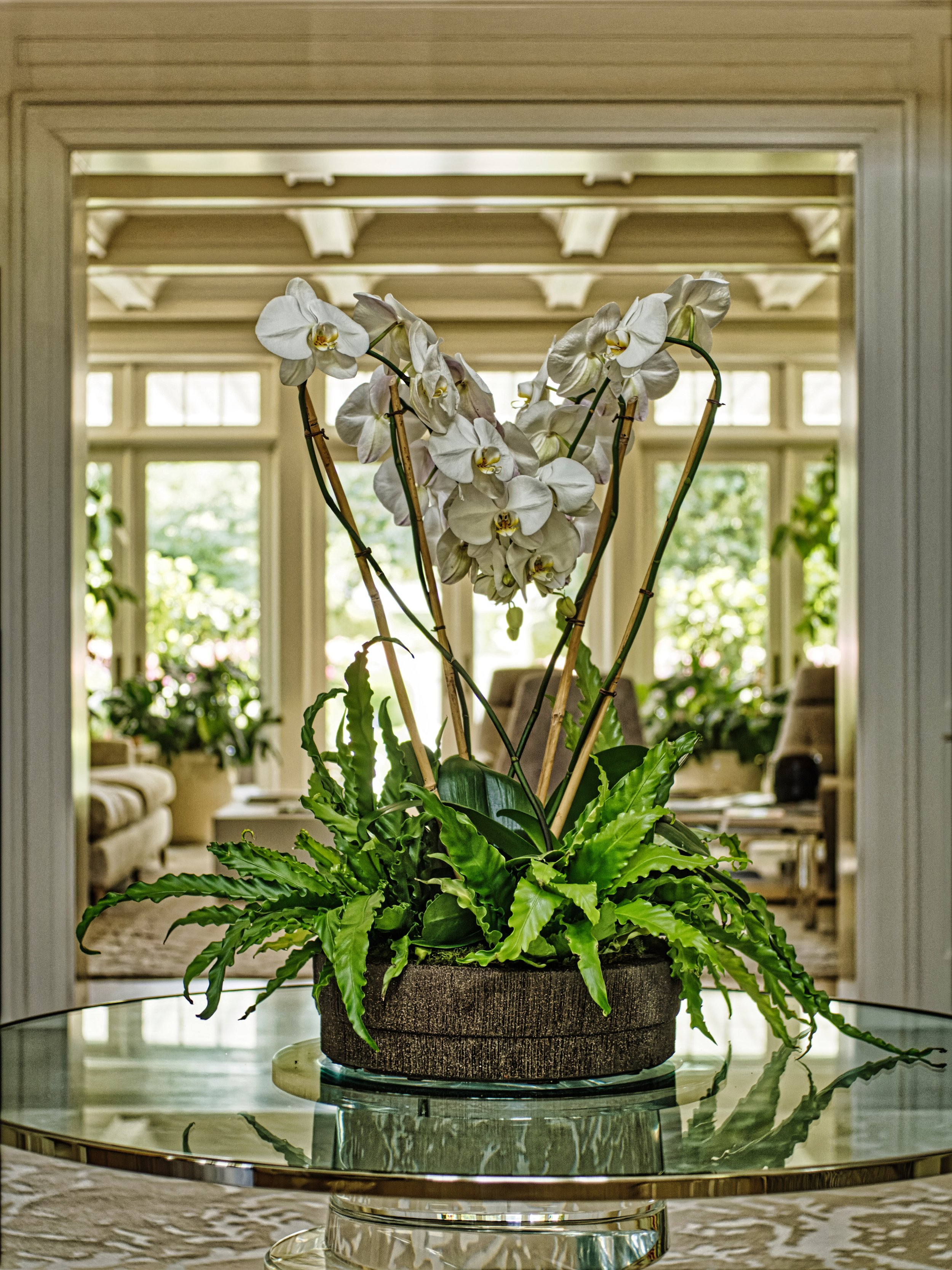 A white orchid arrangement with green foliage in a brown pot on a glass table in a bright sunlit room.