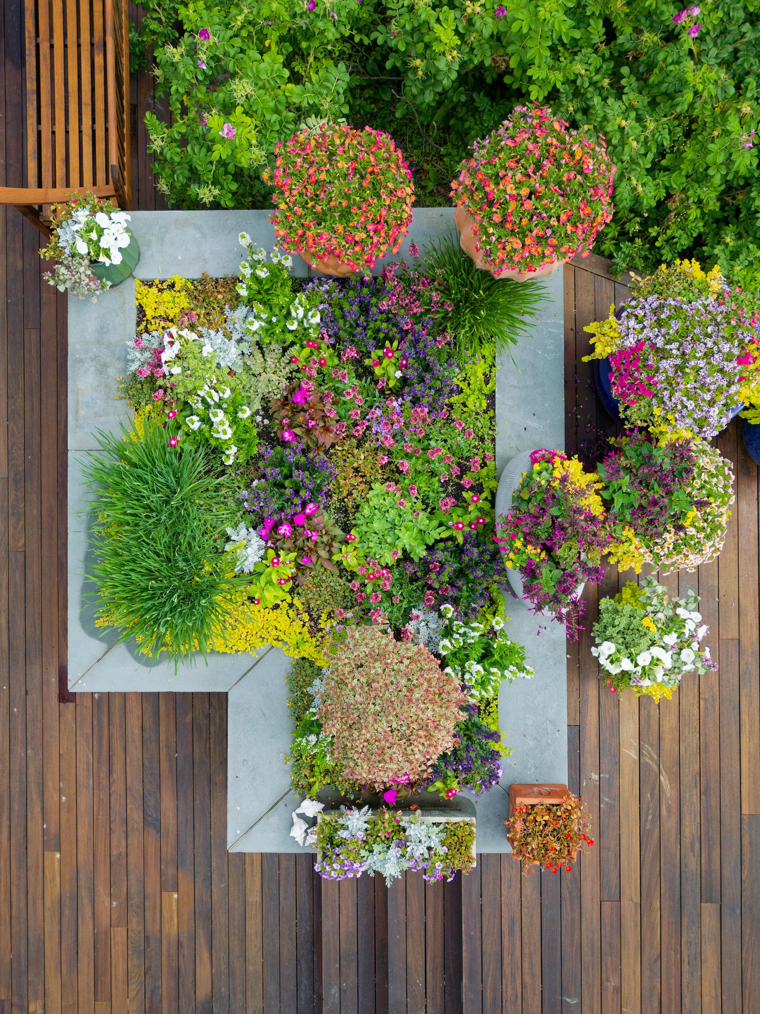 Top-down view of a colorful rooftop garden with various potted flowering plants on a concrete and wooden deck.