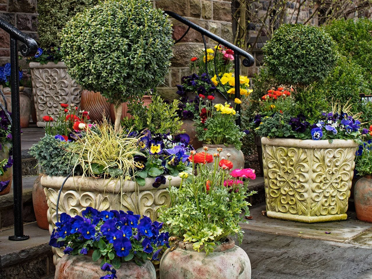 Decorative potted plants with various colorful flowers and green foliage placed on stone steps with a black wrought iron railing.