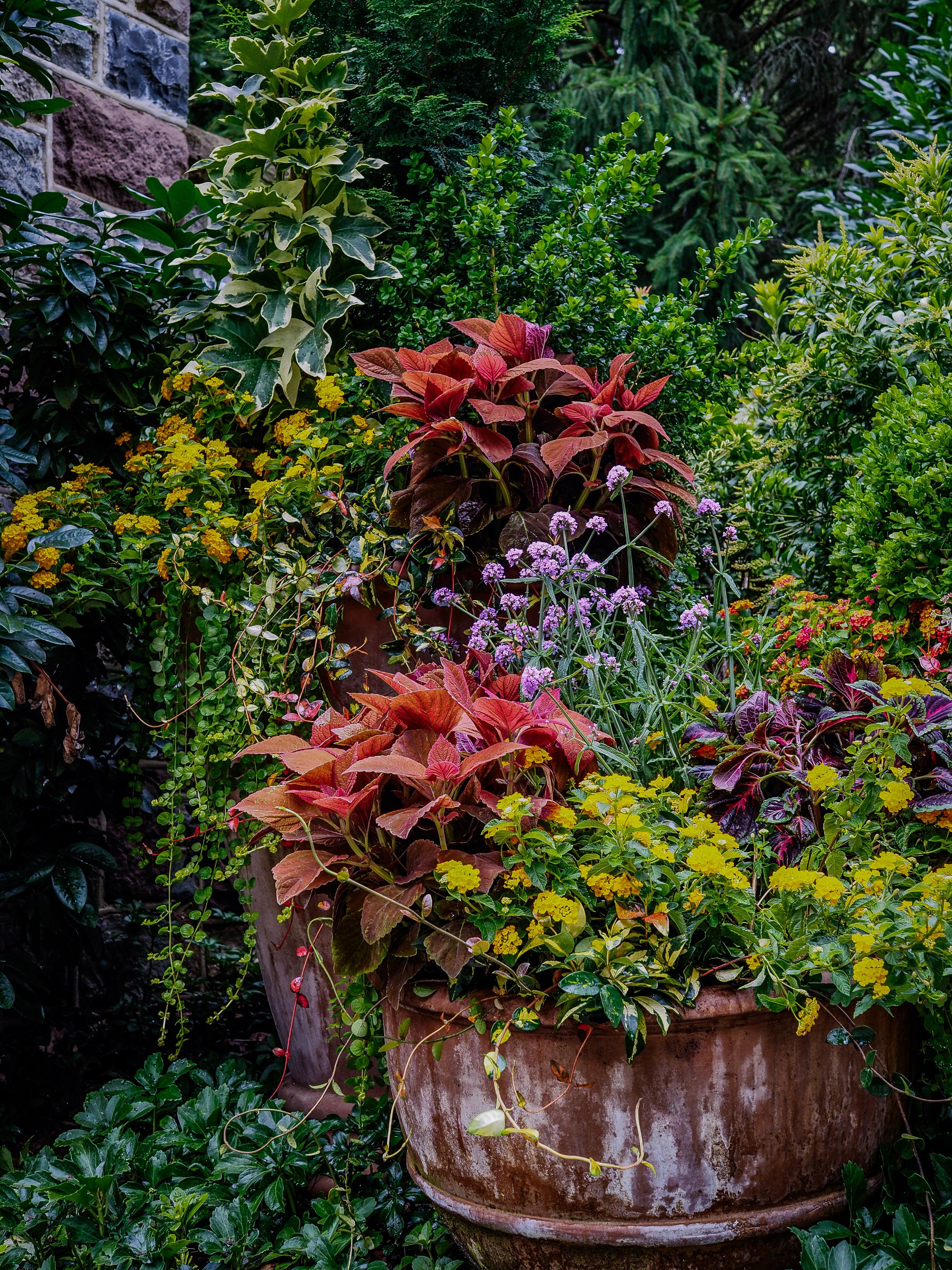 A large flowerpot outdoors filled with a variety of lush, colorful plants and foliage, including green, red, and purple leaves, with some small purple flowers blooming.