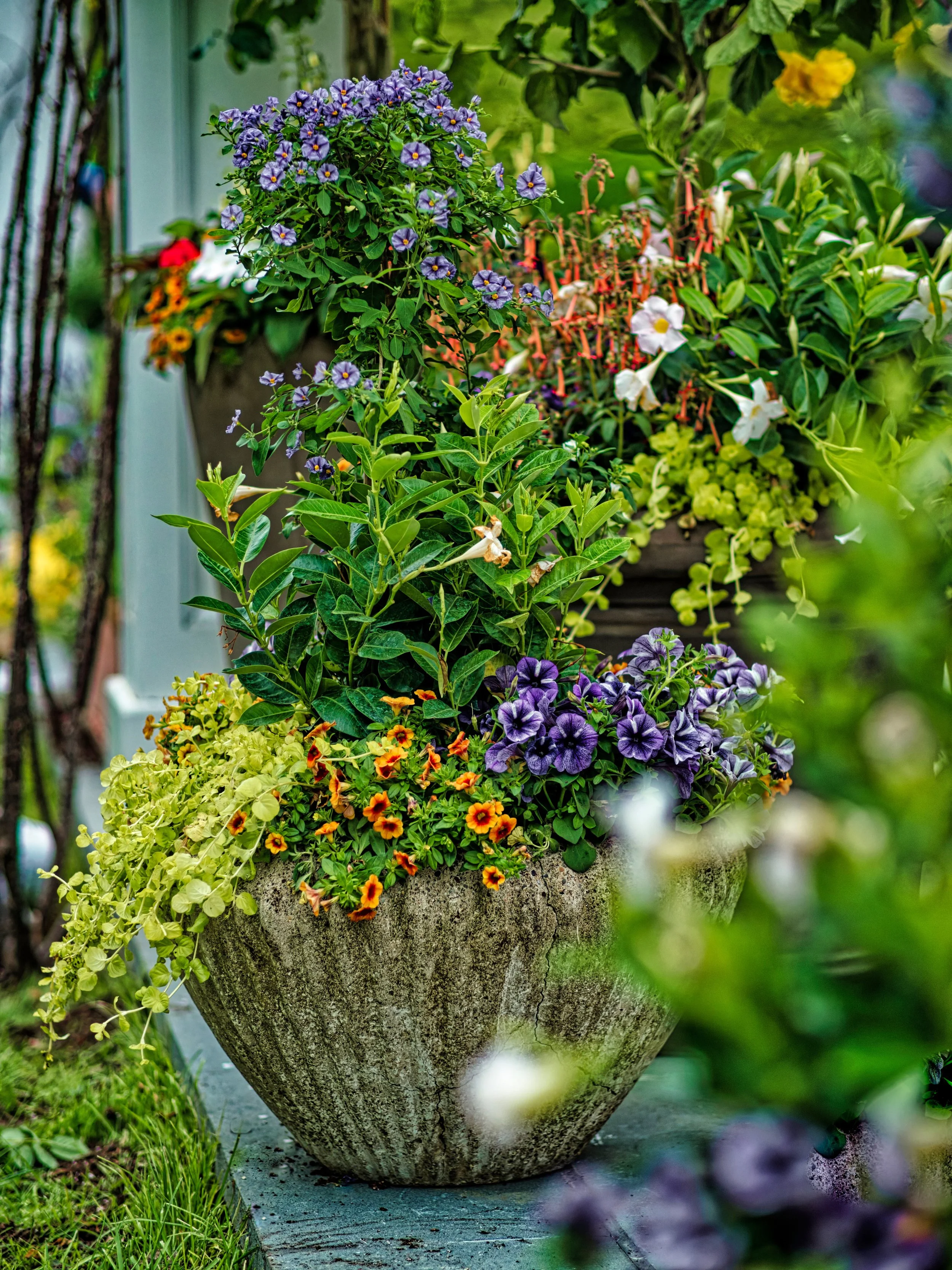 Colorful outdoor garden with a large stone planter filled with purple, yellow, white, and orange flowers including petunias, calibrachoa, and vinca, surrounded by greenery.