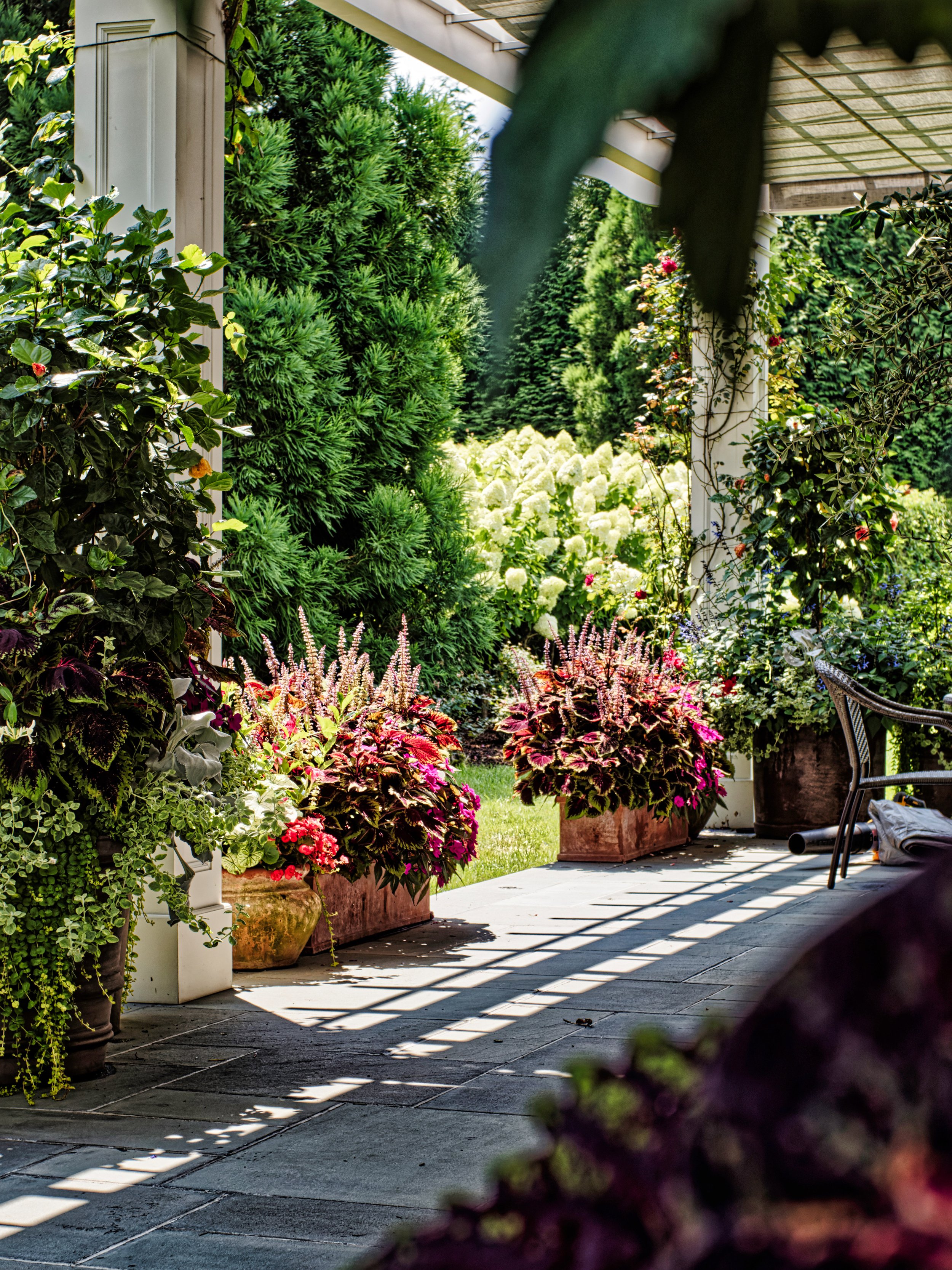 A lush garden porch with potted flowering plants, green shrubs, and trees, casting shadows on a stone tiled floor.