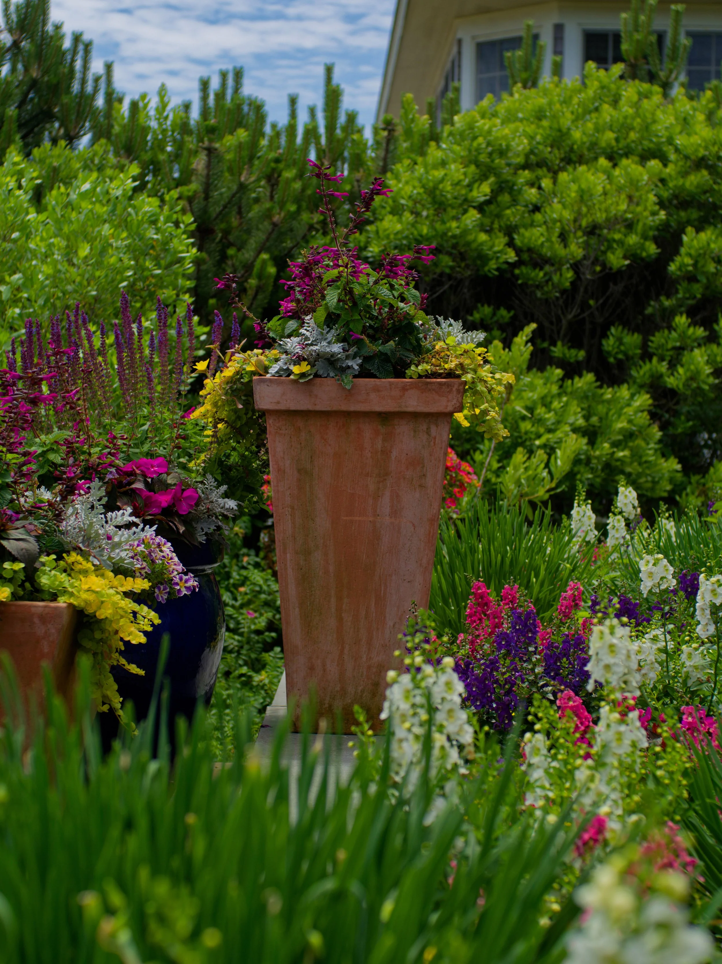 A patio garden featuring a tall terracotta planter with purple and pink flowers, surrounded by various colorful flowers and green foliage, with a house and cloudy sky in the background.