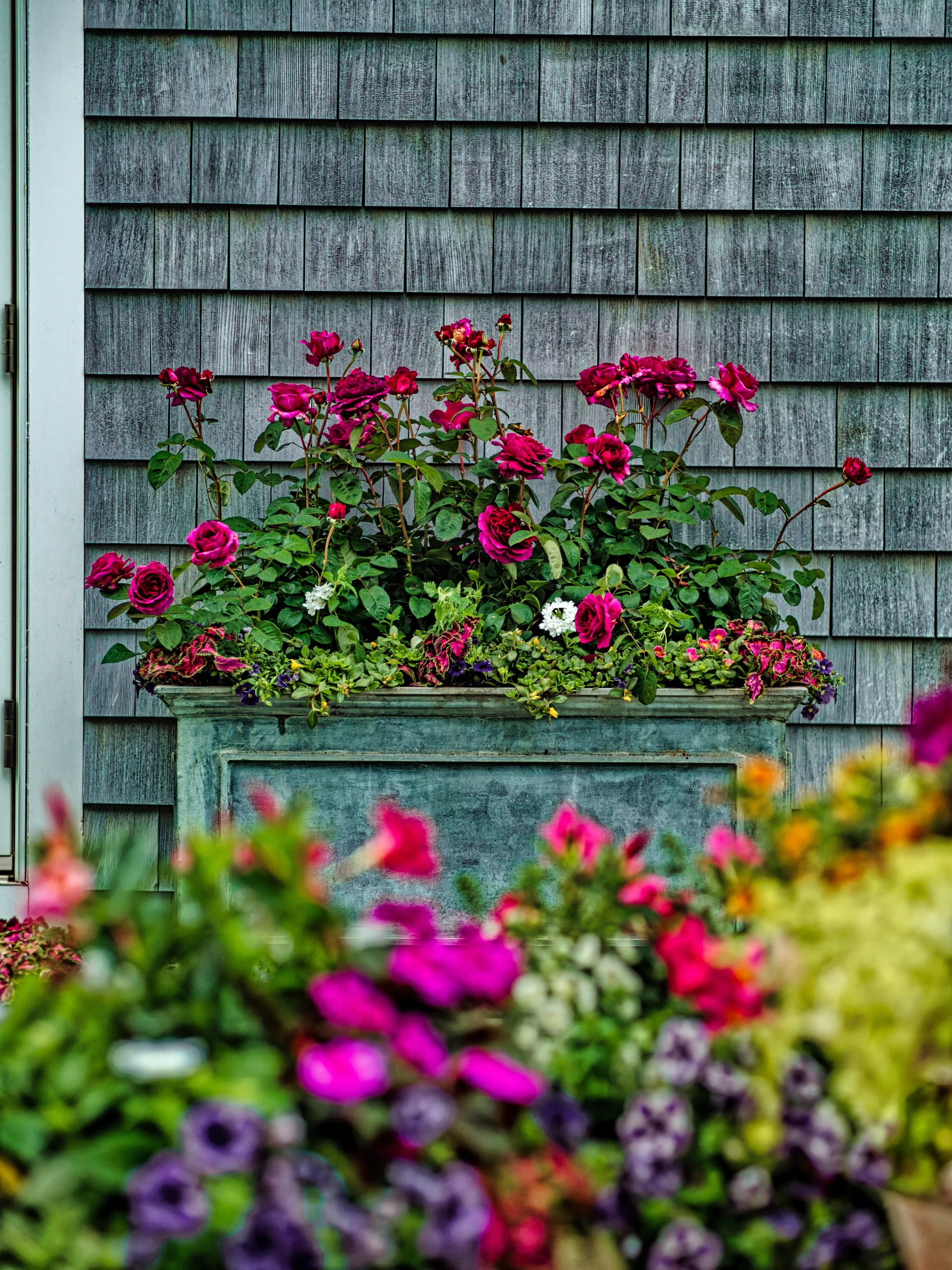 Colorful flowers in a rectangular planter against a textured gray wooden wall.