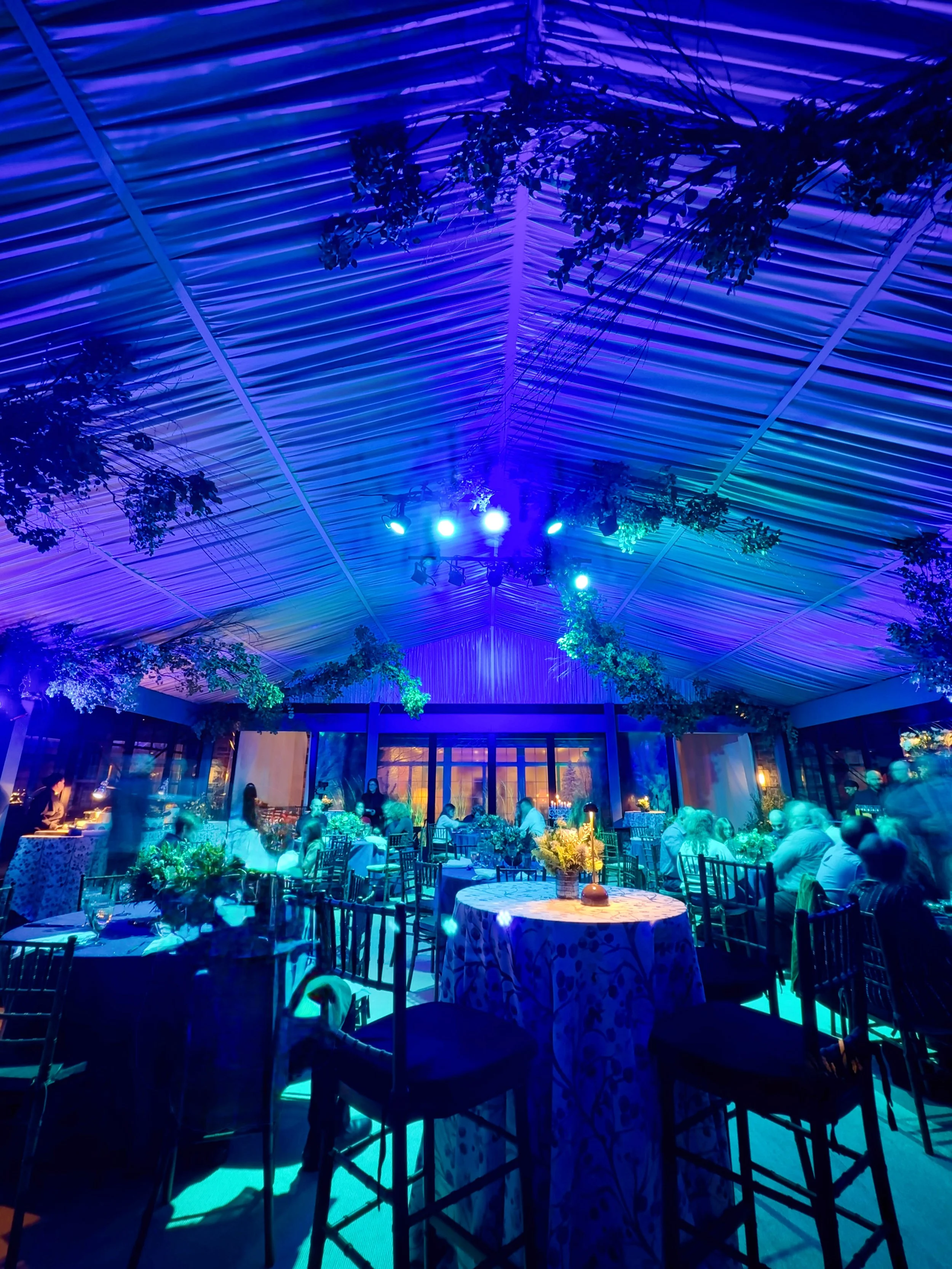 Indoor event space with blue and purple lighting, decorated with hanging greenery, featuring round tables with floral centerpieces and chairs filled with people dining.