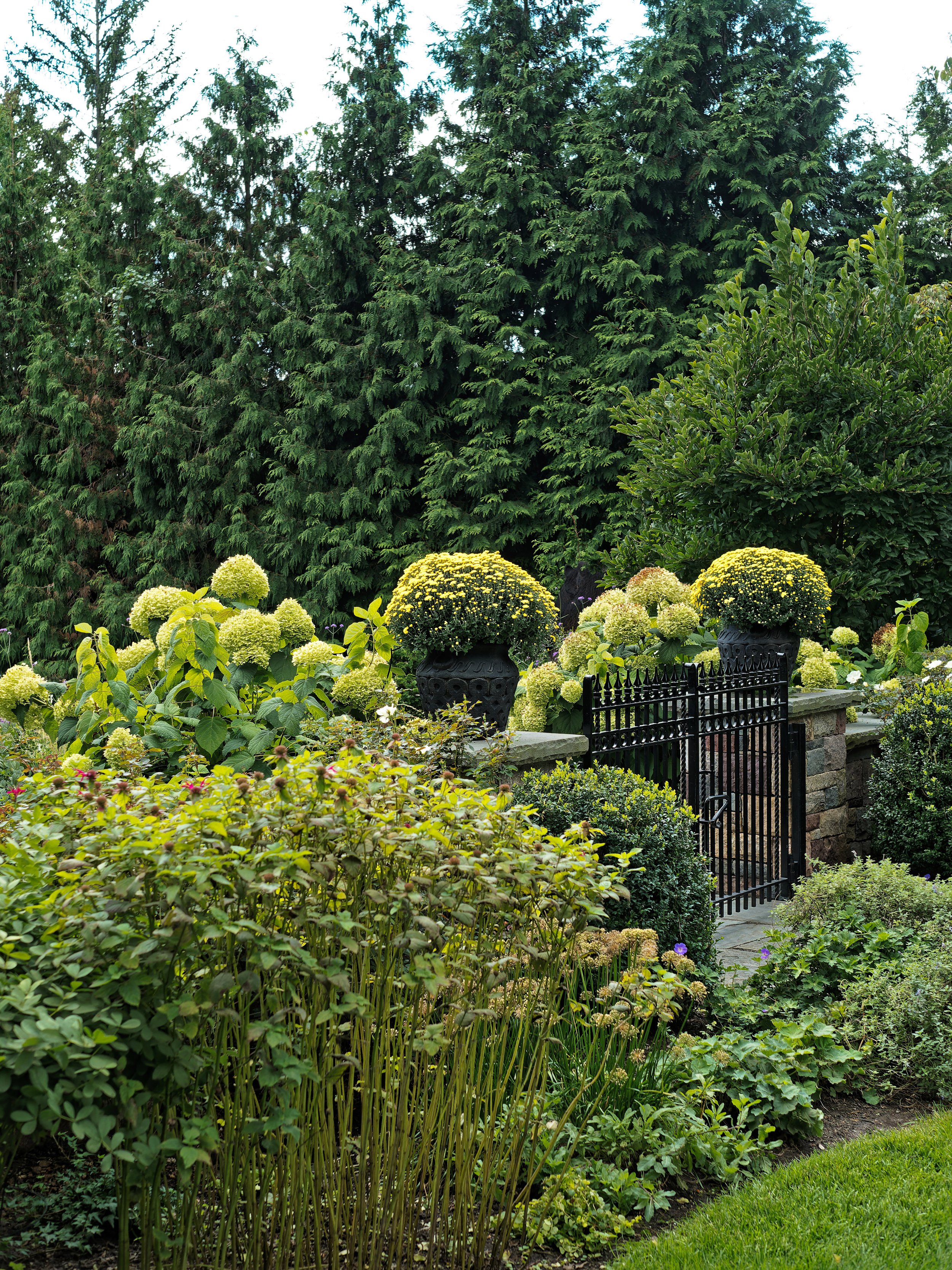 A lush garden with green shrubs, yellow and white flowering plants, and tall evergreen trees in the background, enclosed by a black metal gate.