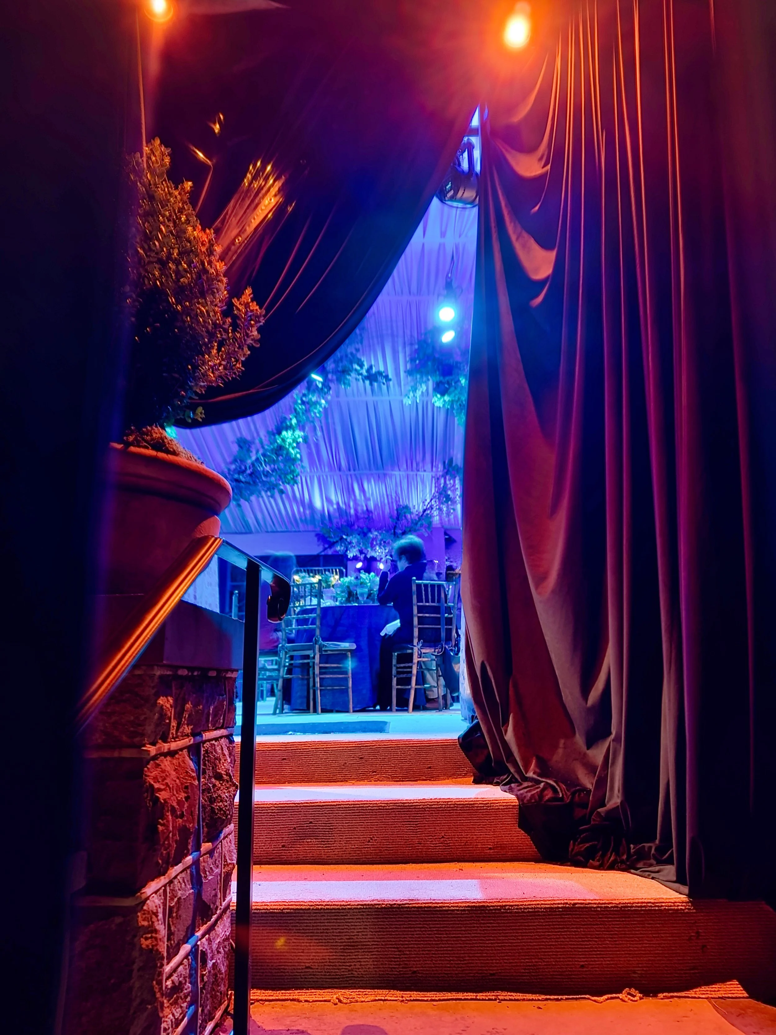 Stage with open curtains revealing audience seated under vibrant blue and purple lighting, decorated with flowers and greenery.