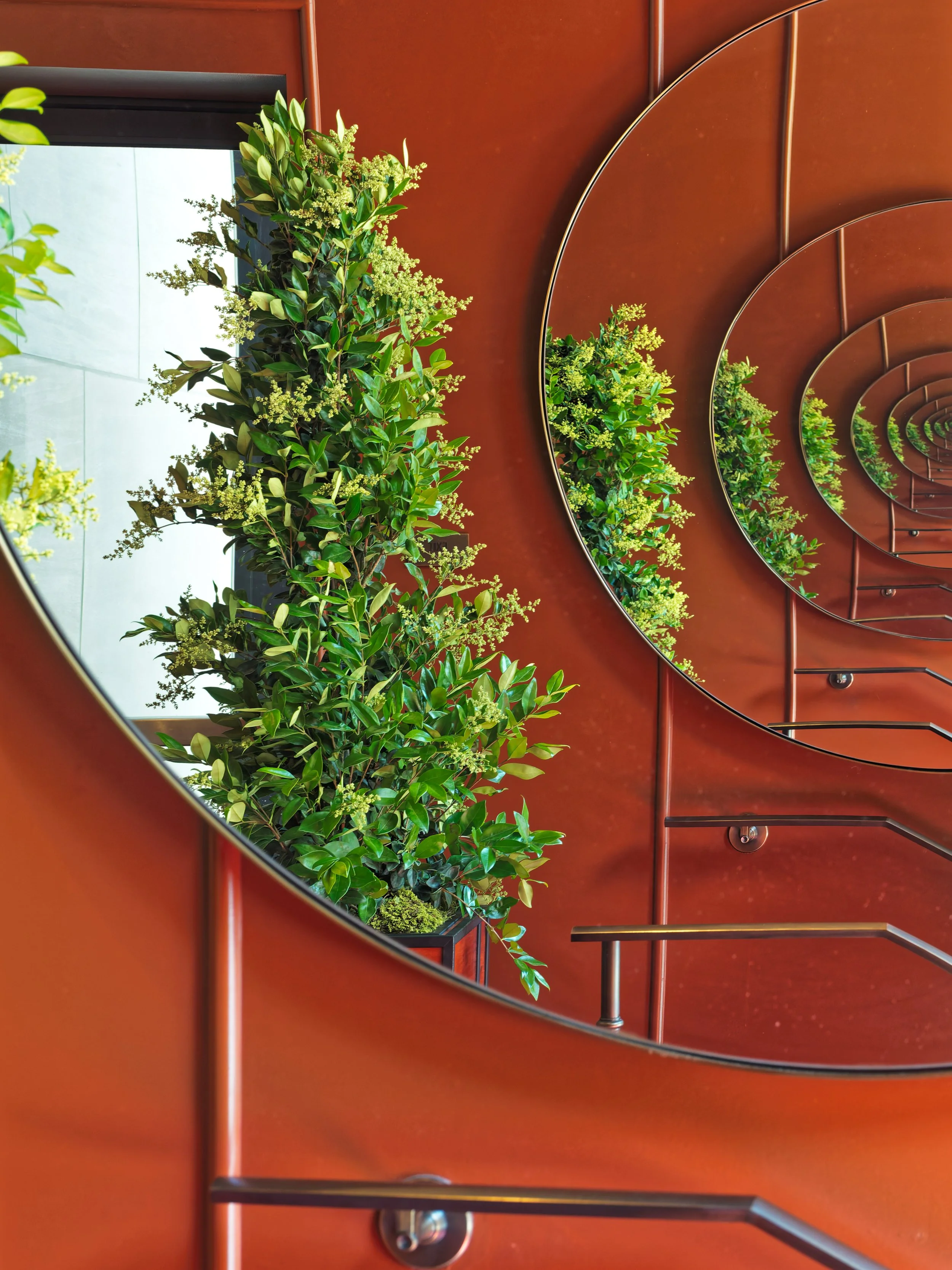 A staircase with a red railing and circular pattern, decorated with green plants with yellow flowers, seen through the reflection in a mirror.