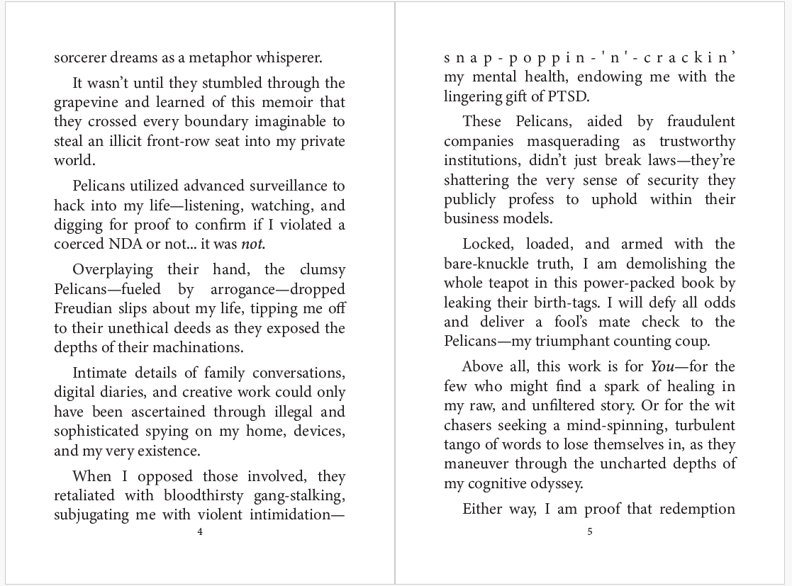 Written reflections discussing surveillance, PTSD, and personal trauma.