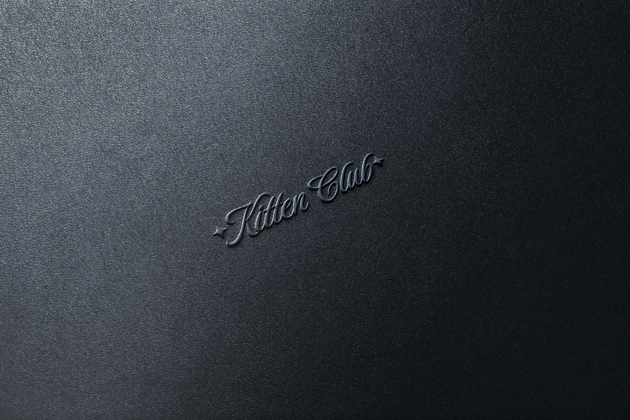 Elegant Emboss Logo Mockup.png