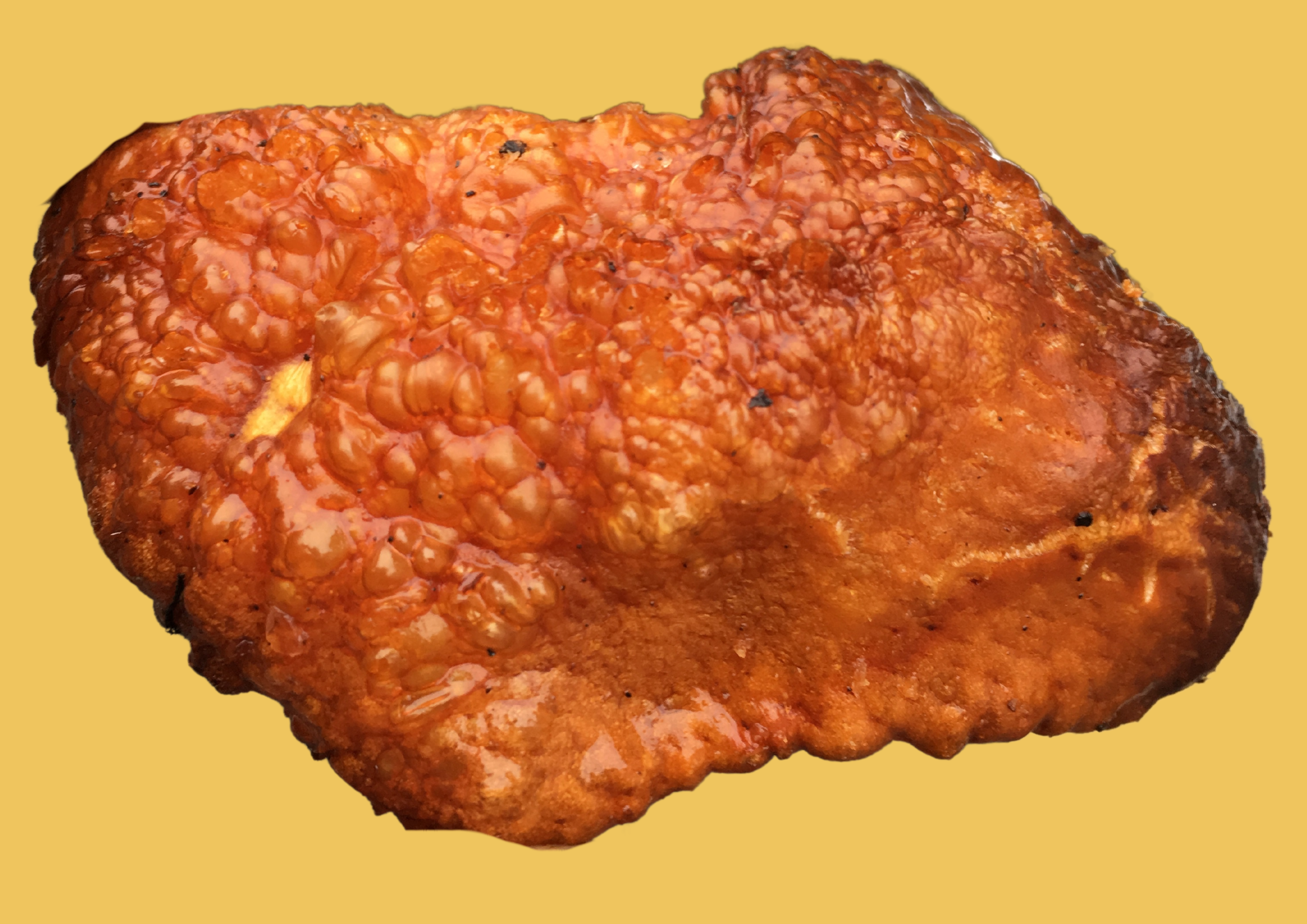 Porcco Hog Roast Crackling