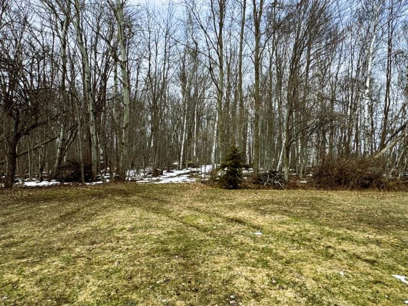 19.57 Acres of Hunting Land Near Port Hope