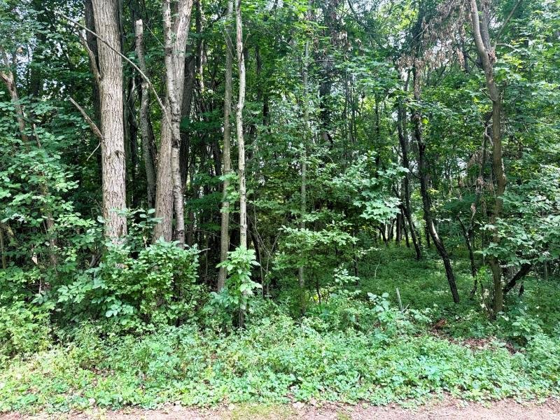 Water-Access Parcels in the Tip-O-Thumb Subdivision