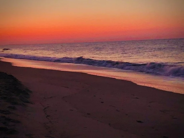 Layne Morgan....jpeg