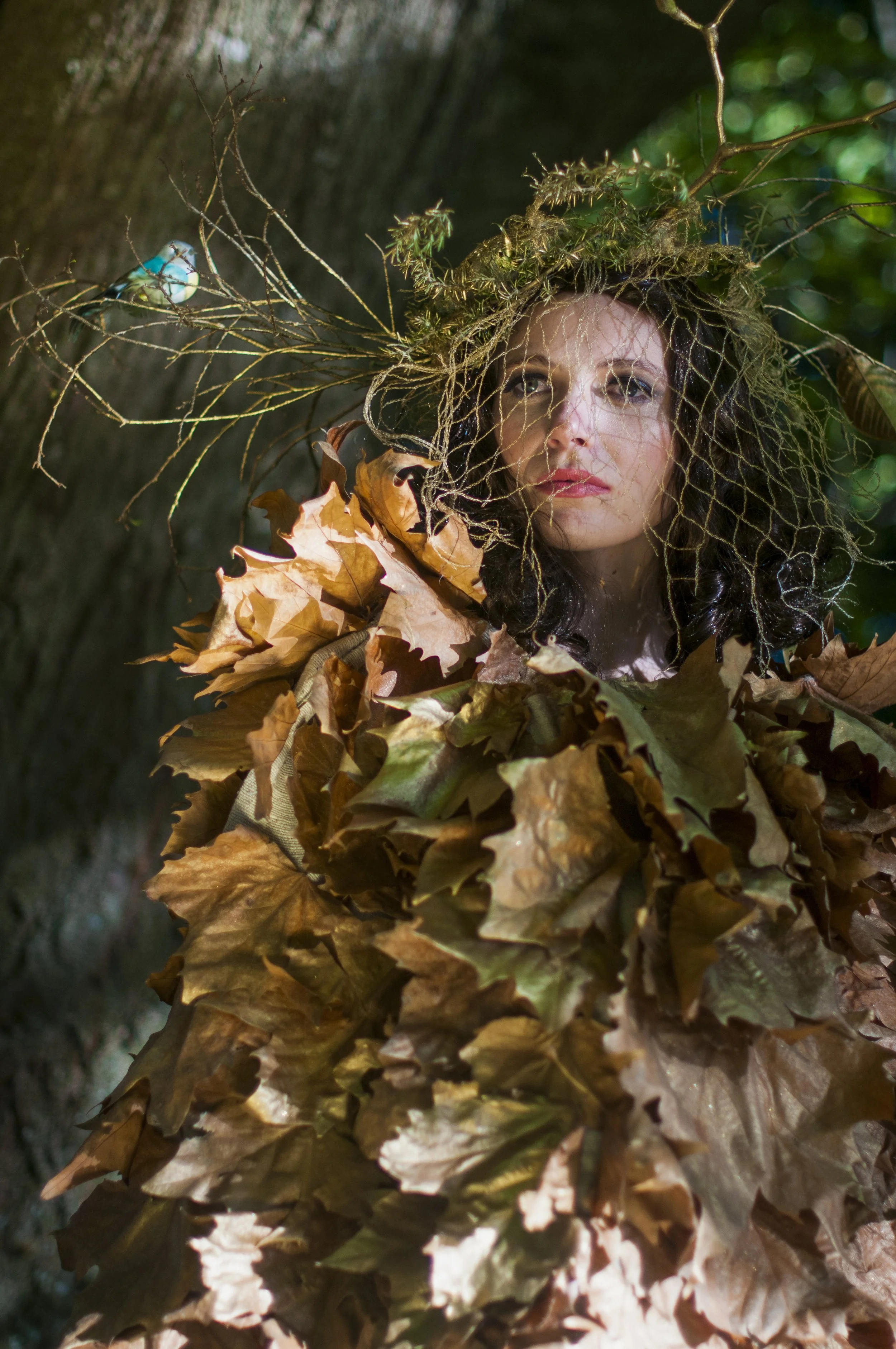 Tink LokettDSC_0134 edit.jpeg