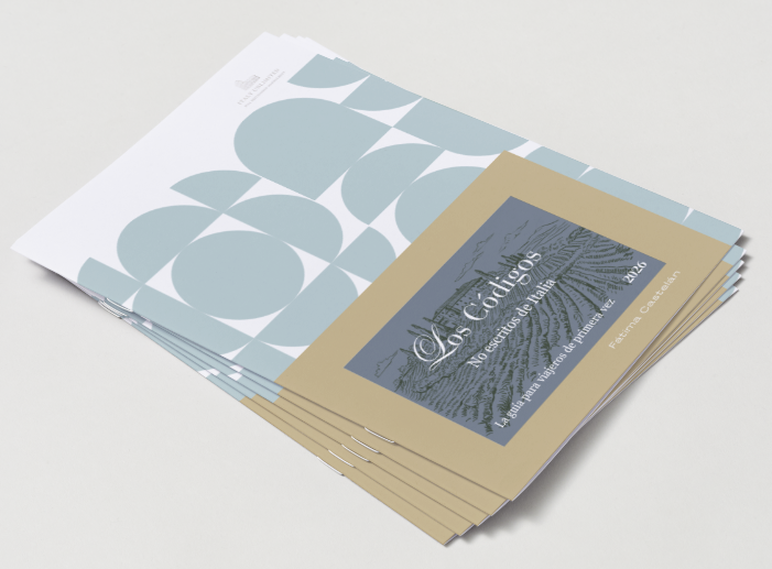 VISTA VARIAS GUIAS .png