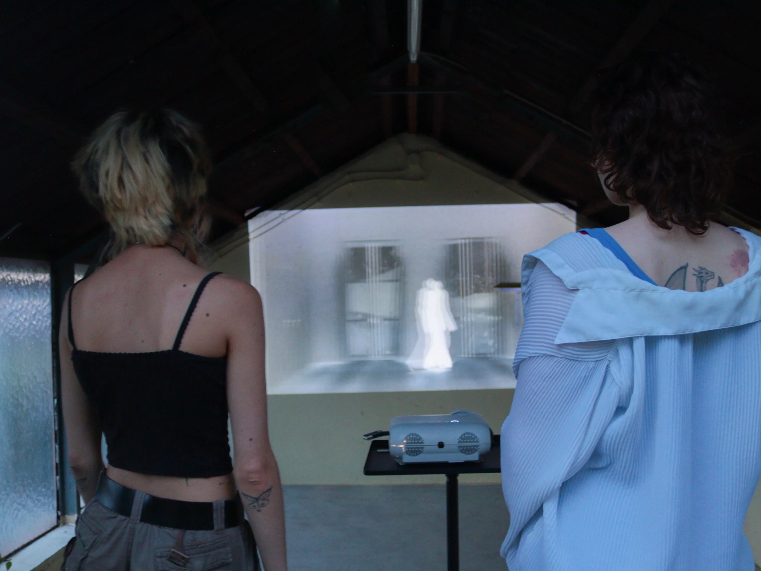 HOB: Video Installation