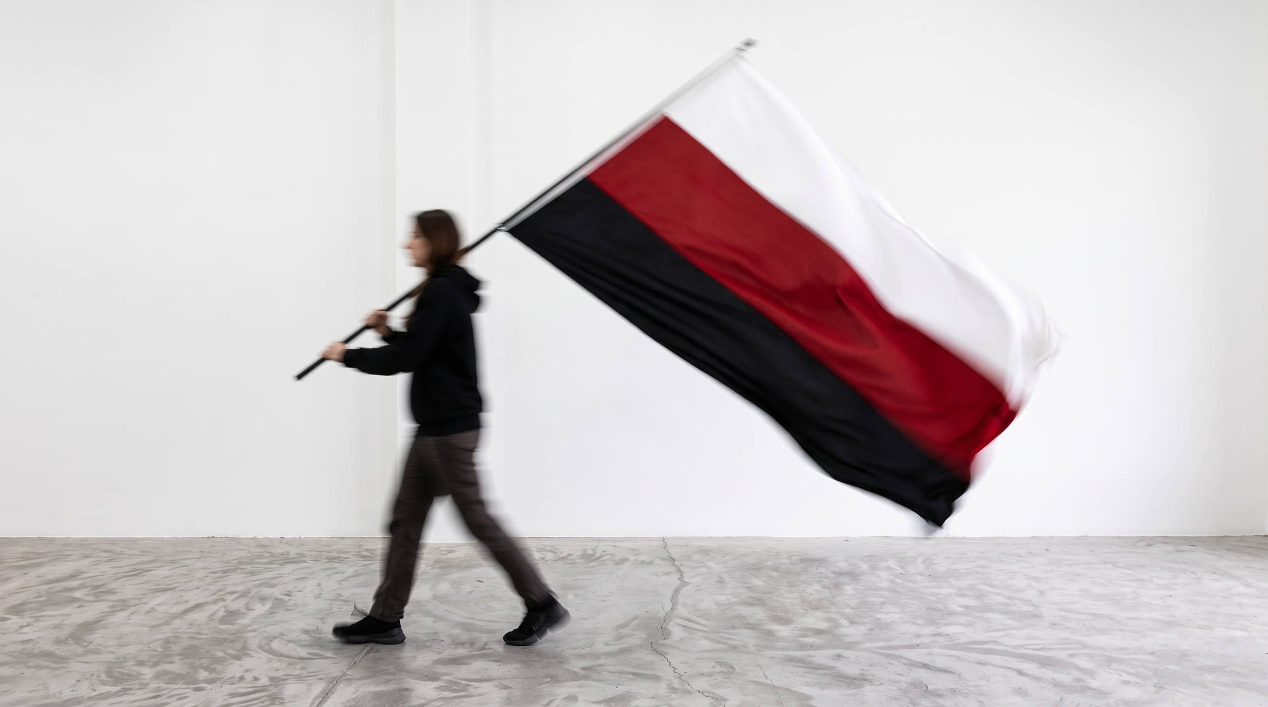 A Future Flag for Iran