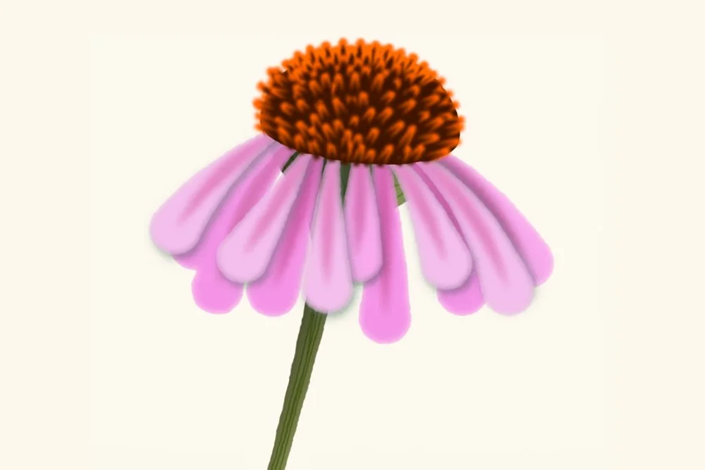 Scientific Animations