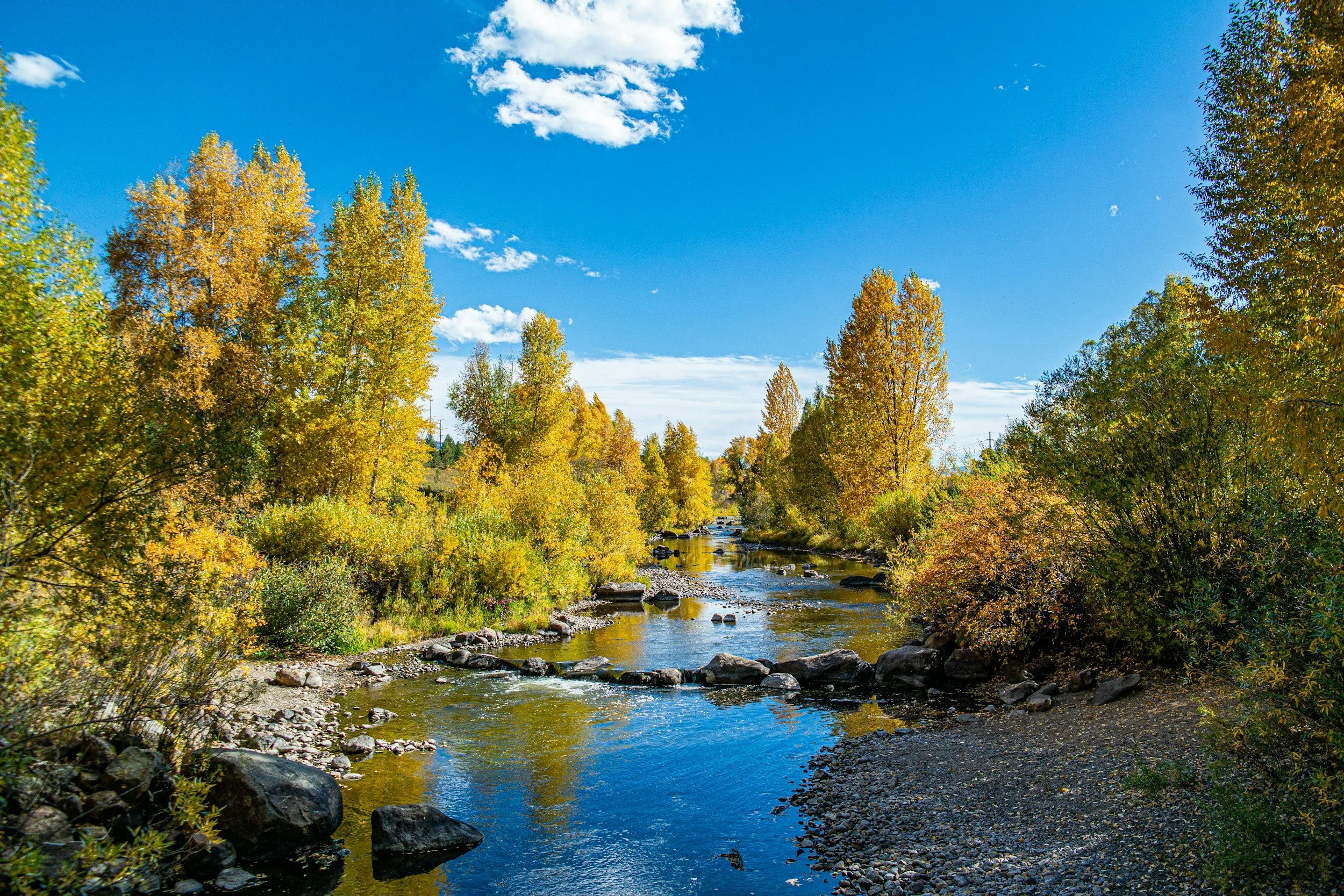 Rocky creek winding through golden autumn trees beneath a bright blue sky