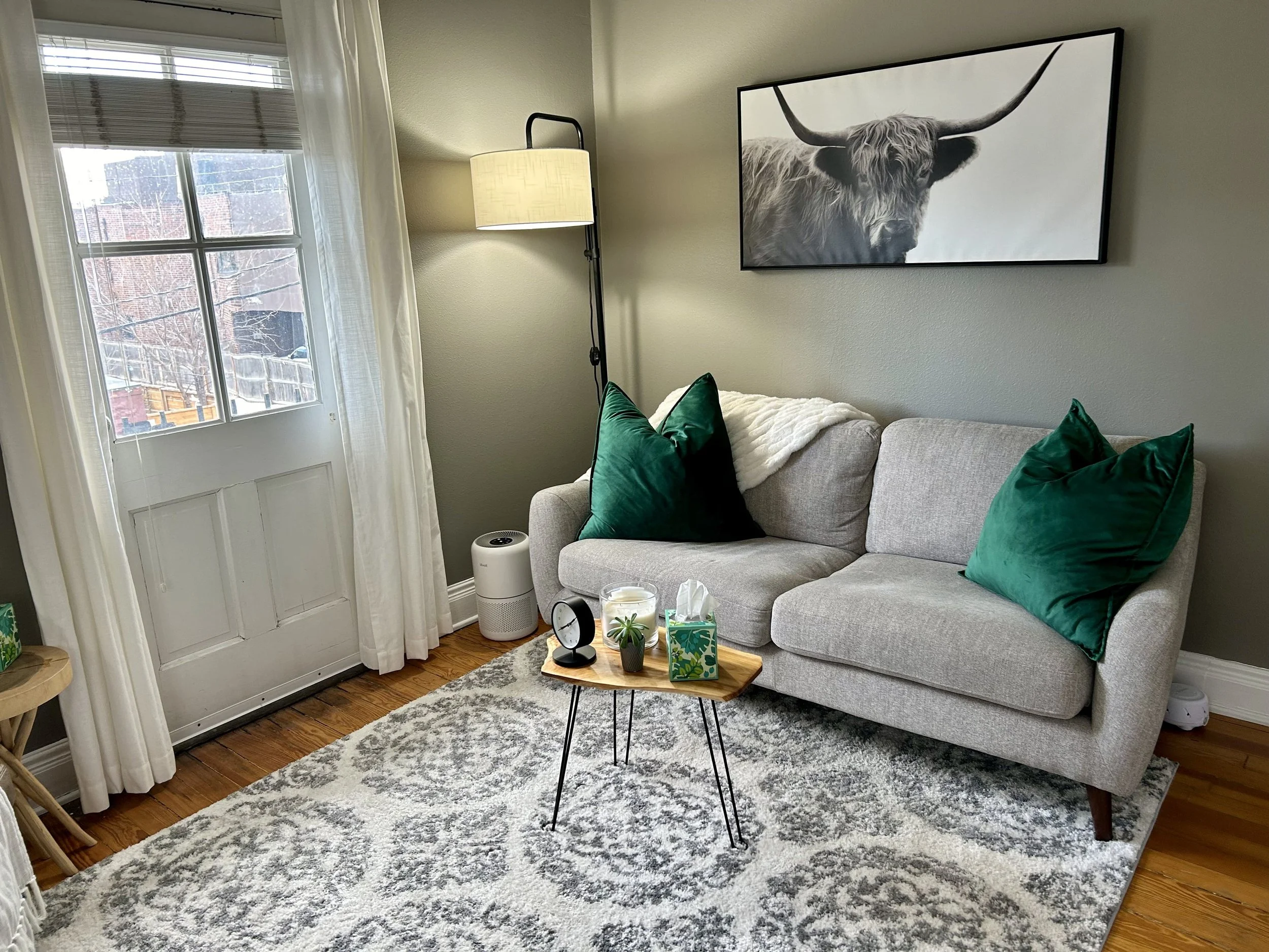 best EMDR therapists denver | denver therapy office for EMDR