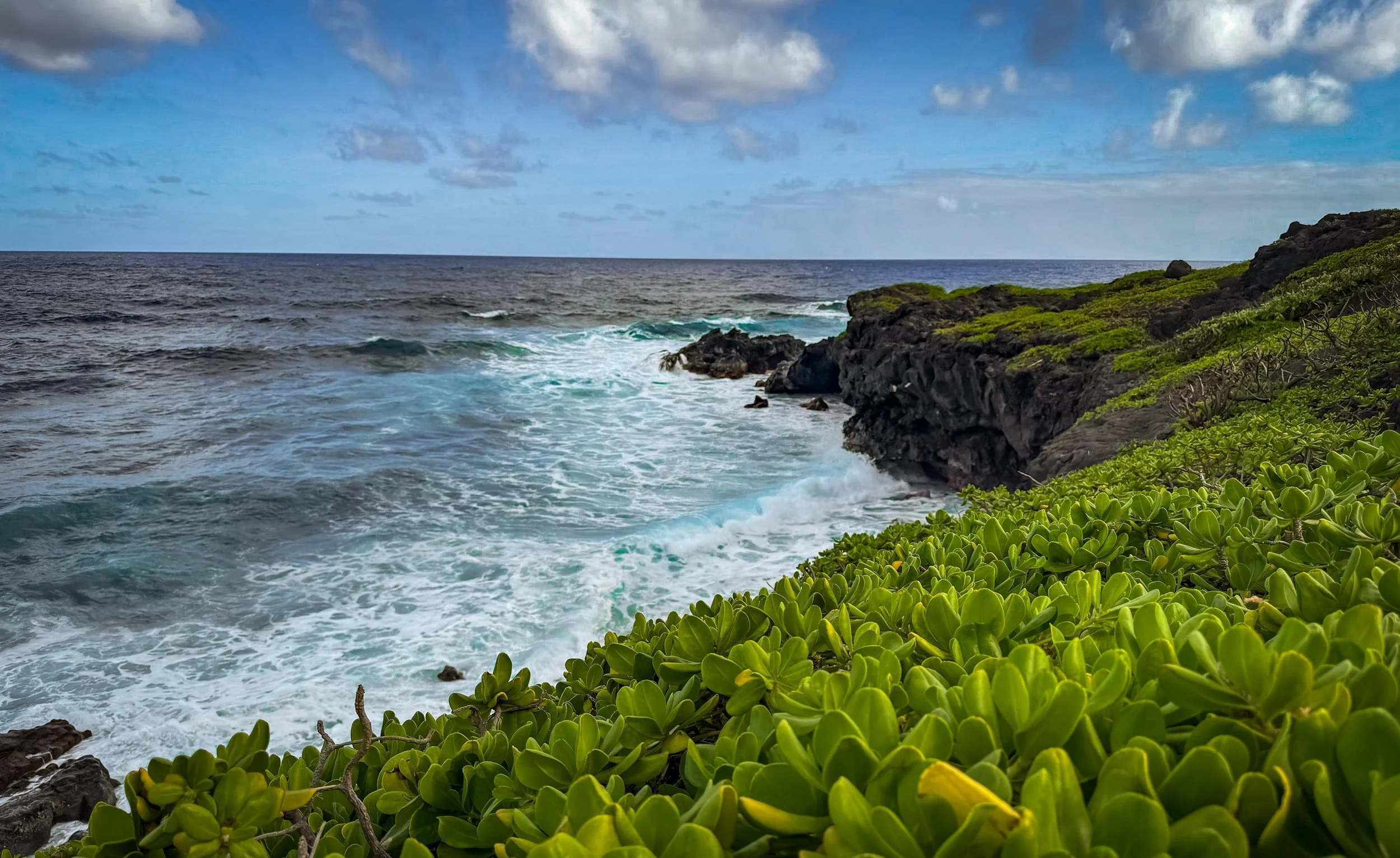 The Ultimate Solo Traveler's Guide to Maui (2026)