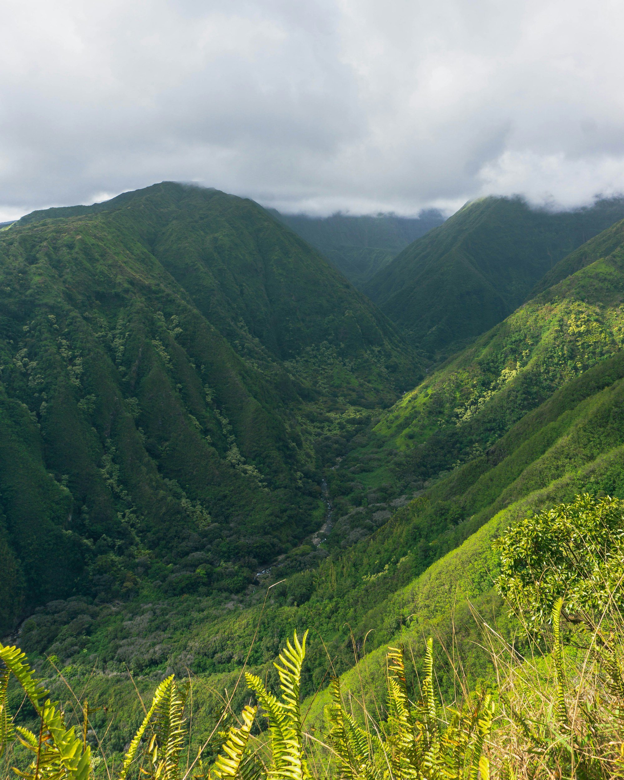 Lush green mountains with clouds overhead and dense vegetation in the foreground.