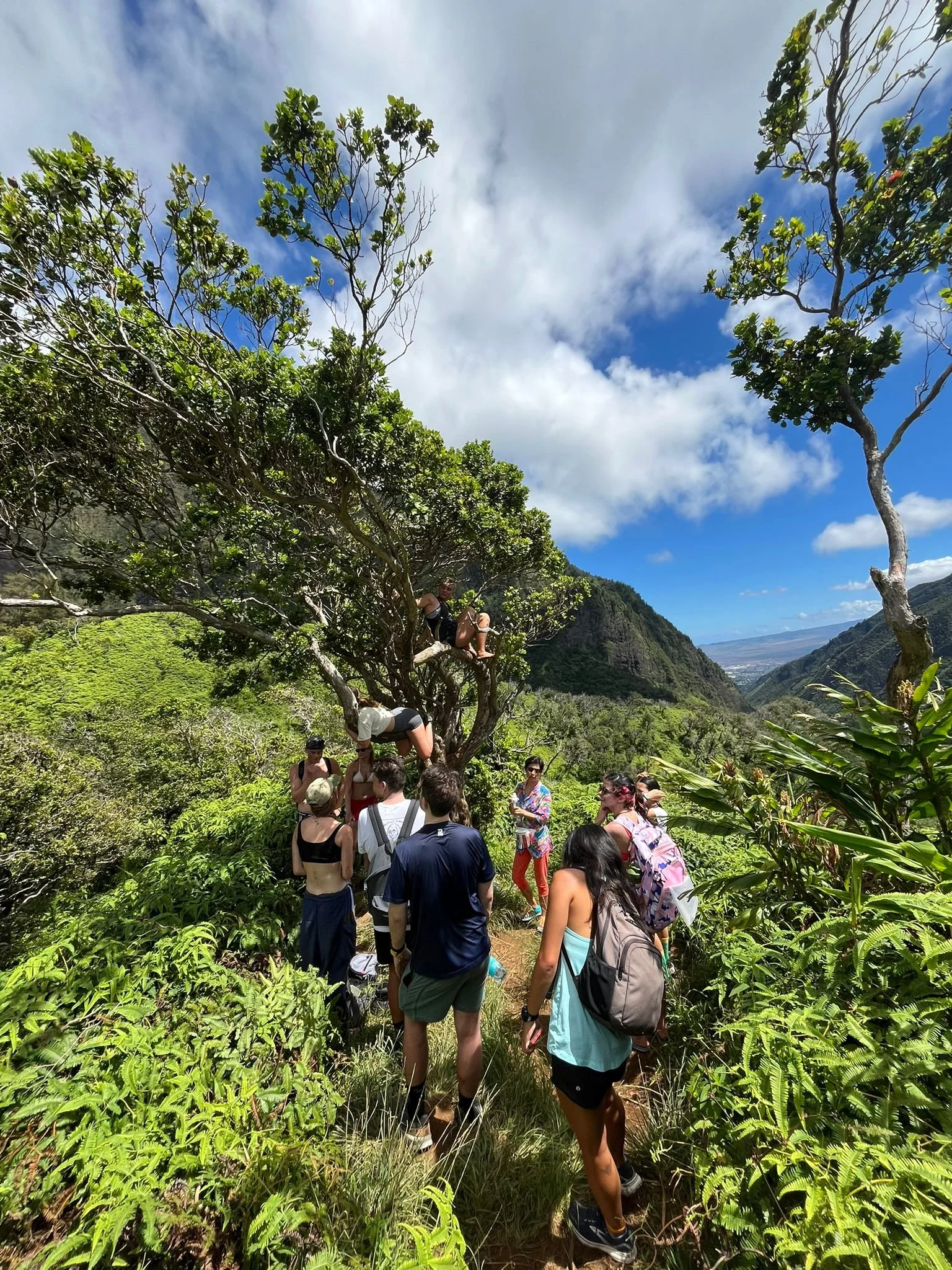 'Iao Valley (Mondays)