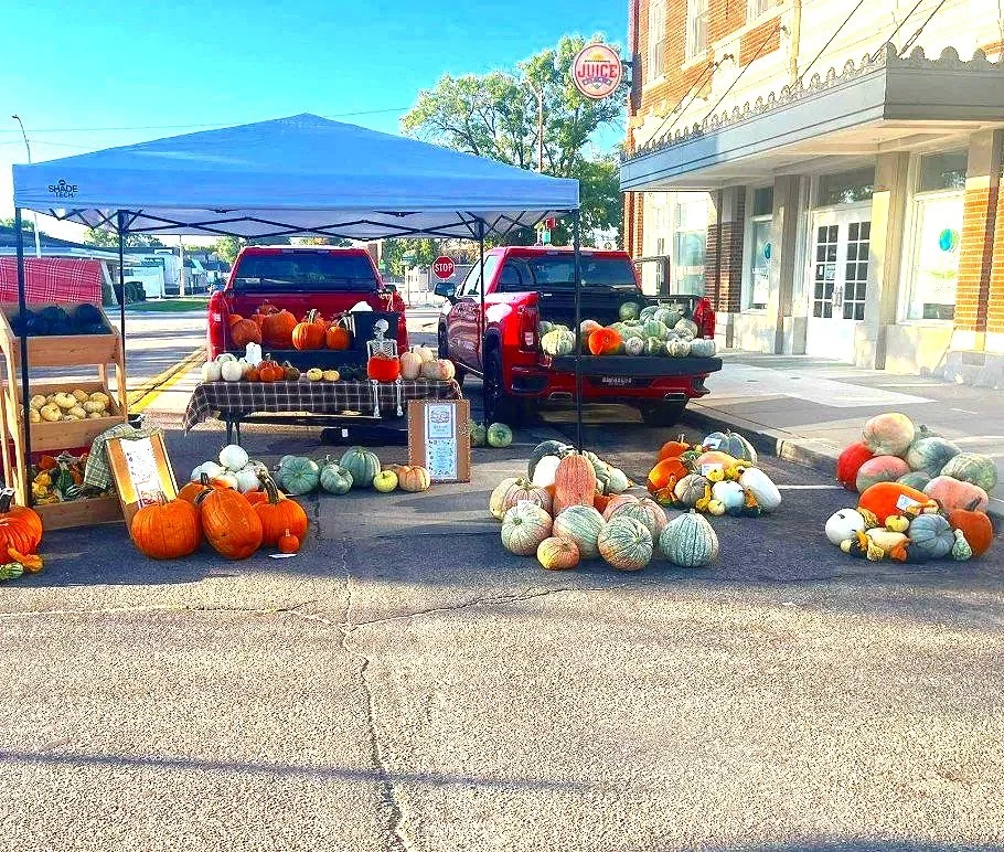 Backyard Patch - Pumpkins and Gourds