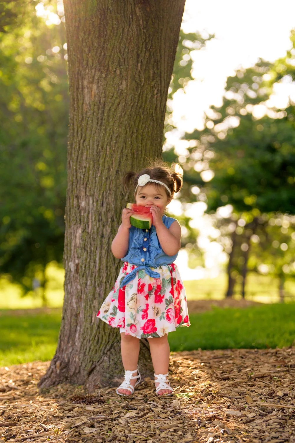 Toddler Birthday Photography 