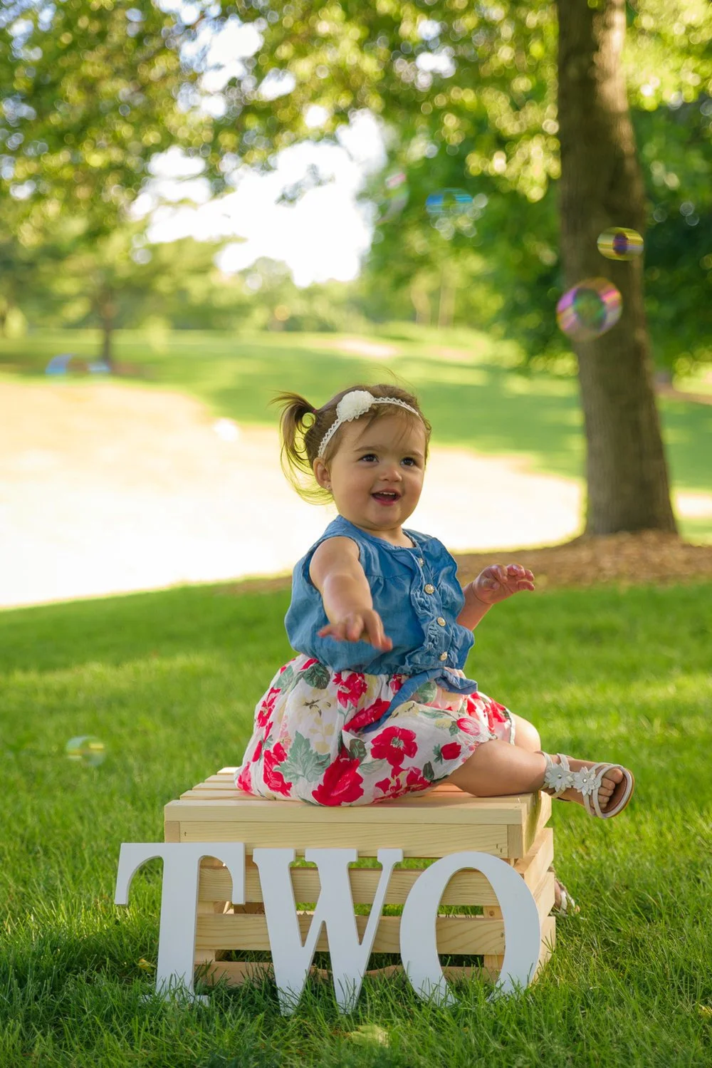 Toddler Birthday Photography 