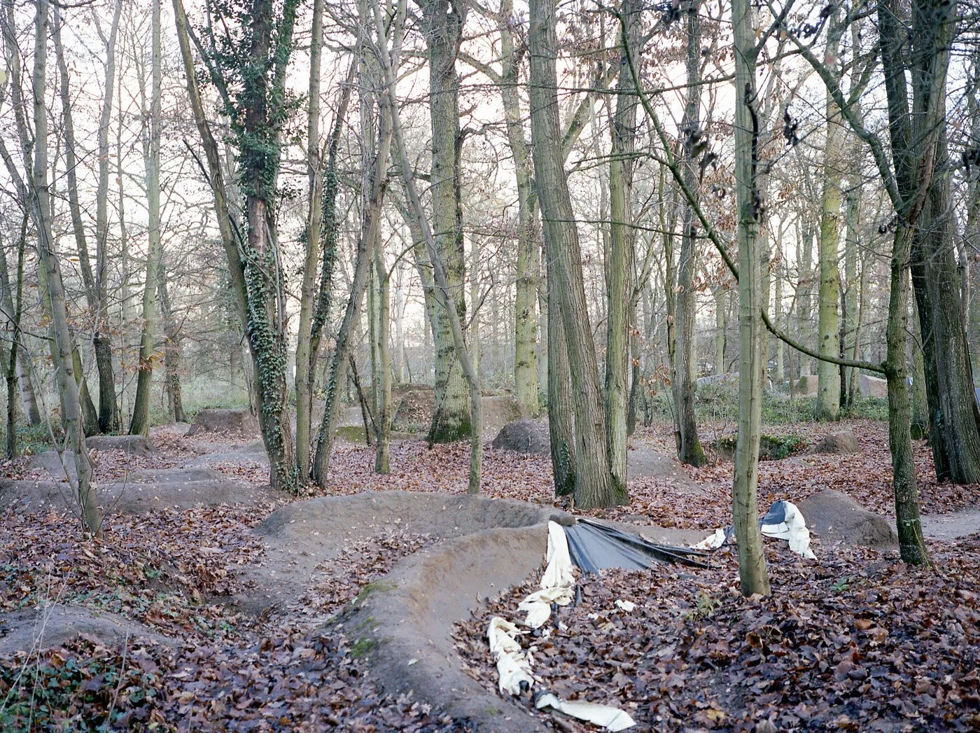 Contours Web Shane Lynam.jpg